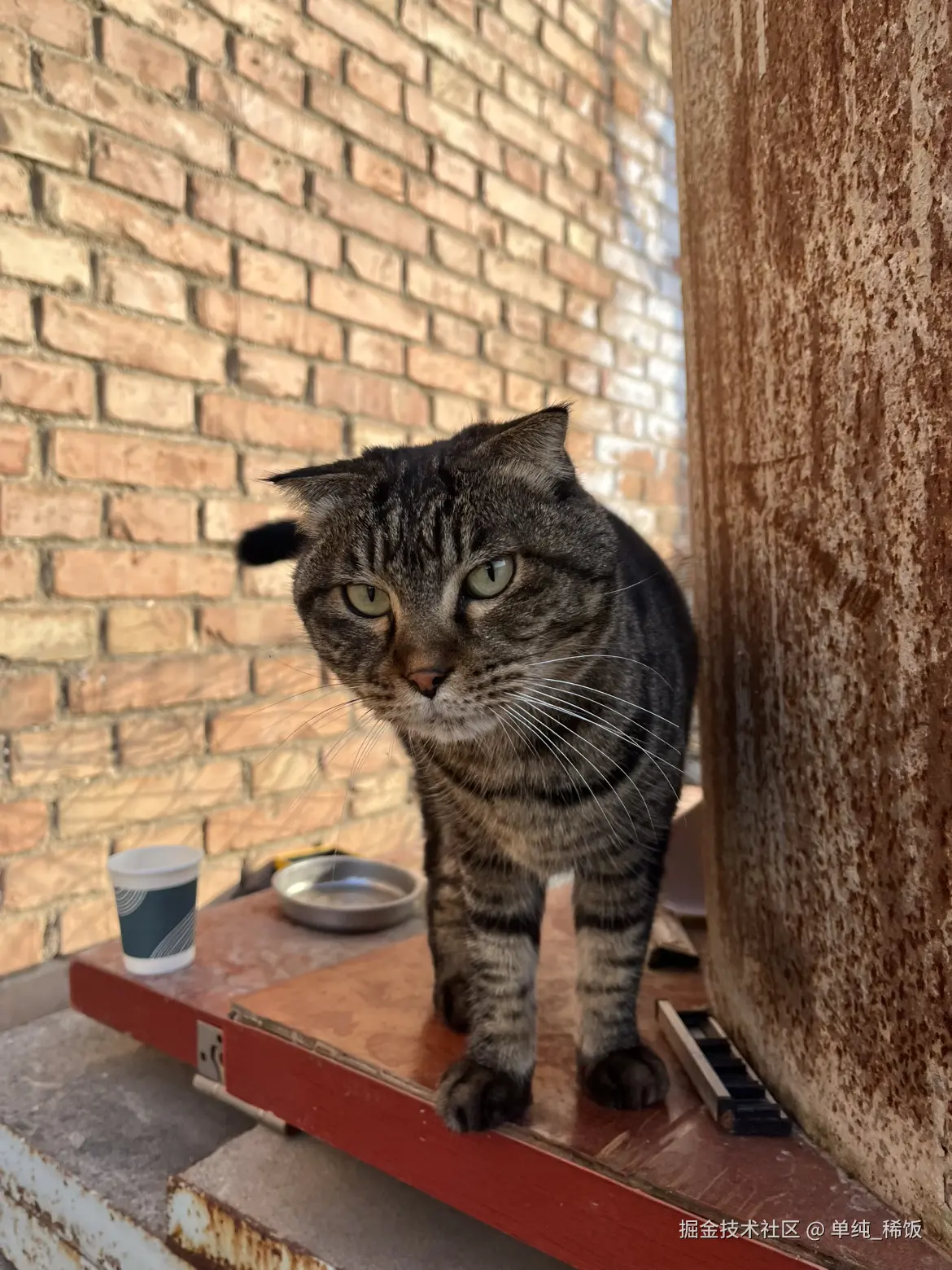 单纯_稀饭于2025-11-26 09:05发布的图片