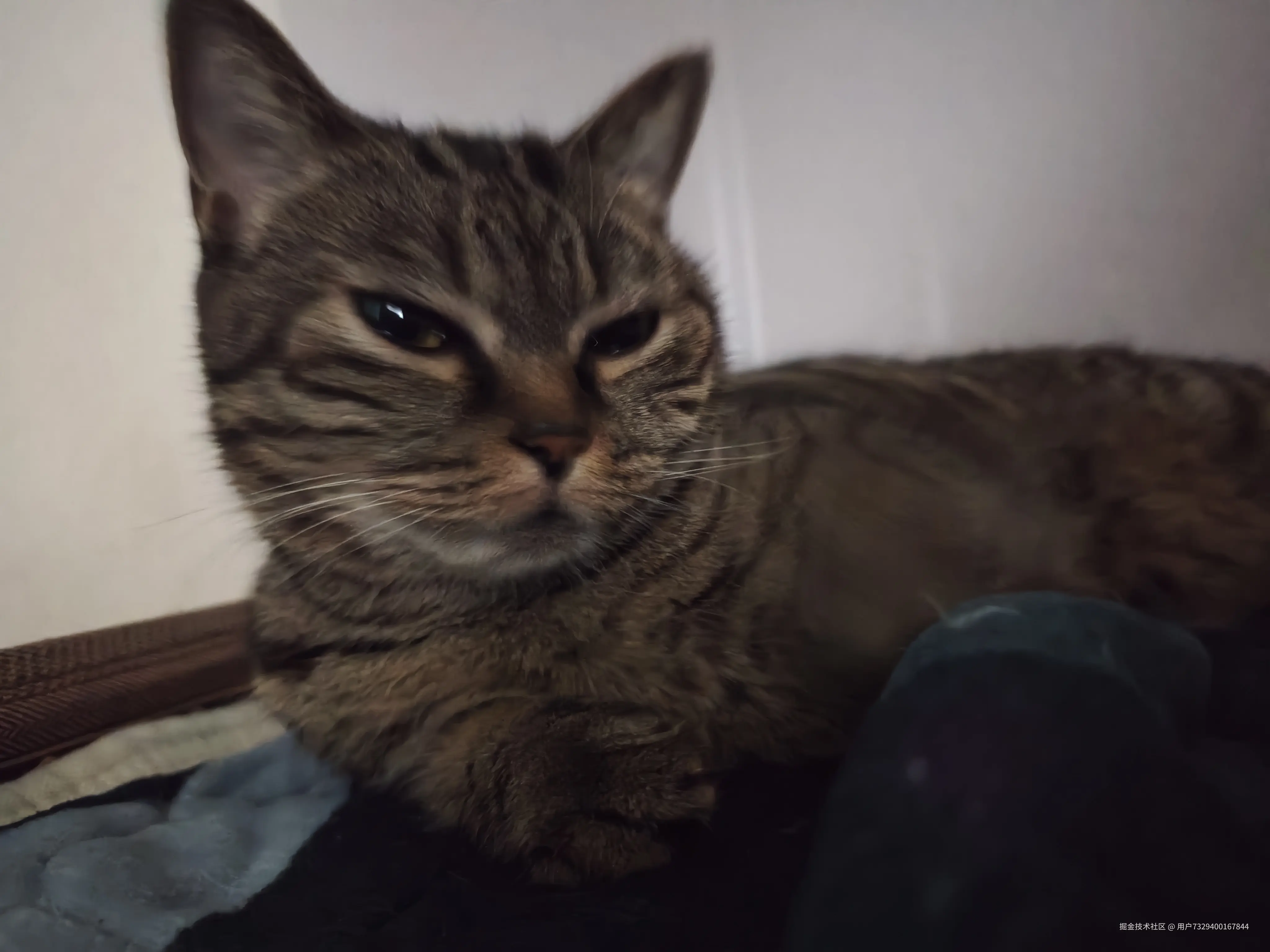 用户7329400167844于2025-10-30 10:15发布的图片