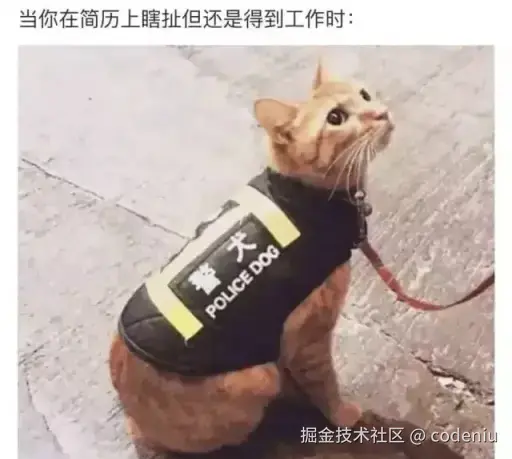 codeniu于2026-02-12 16:04发布的图片