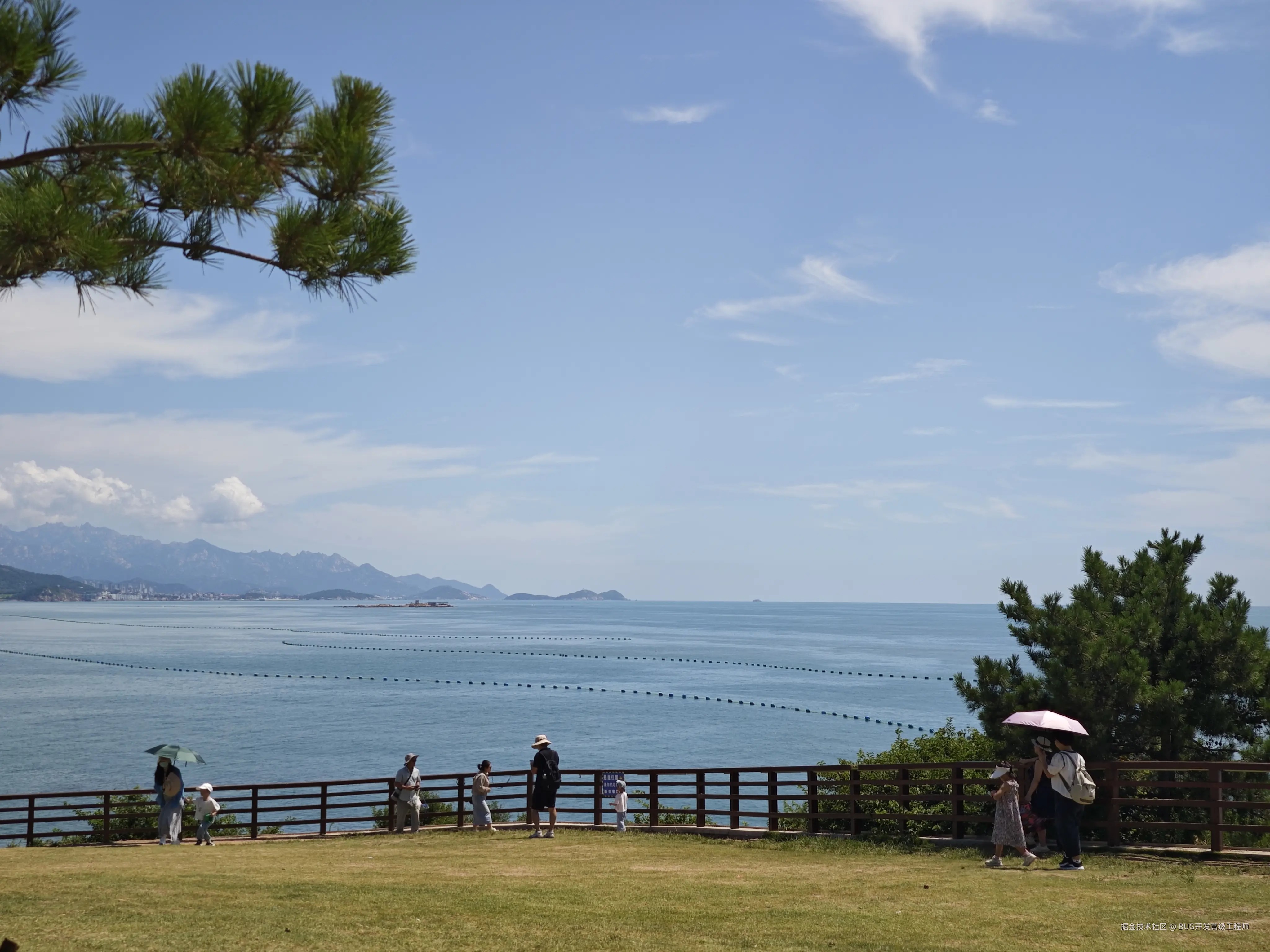 BUG开发高级工程师于2025-08-20 16:01发布的图片