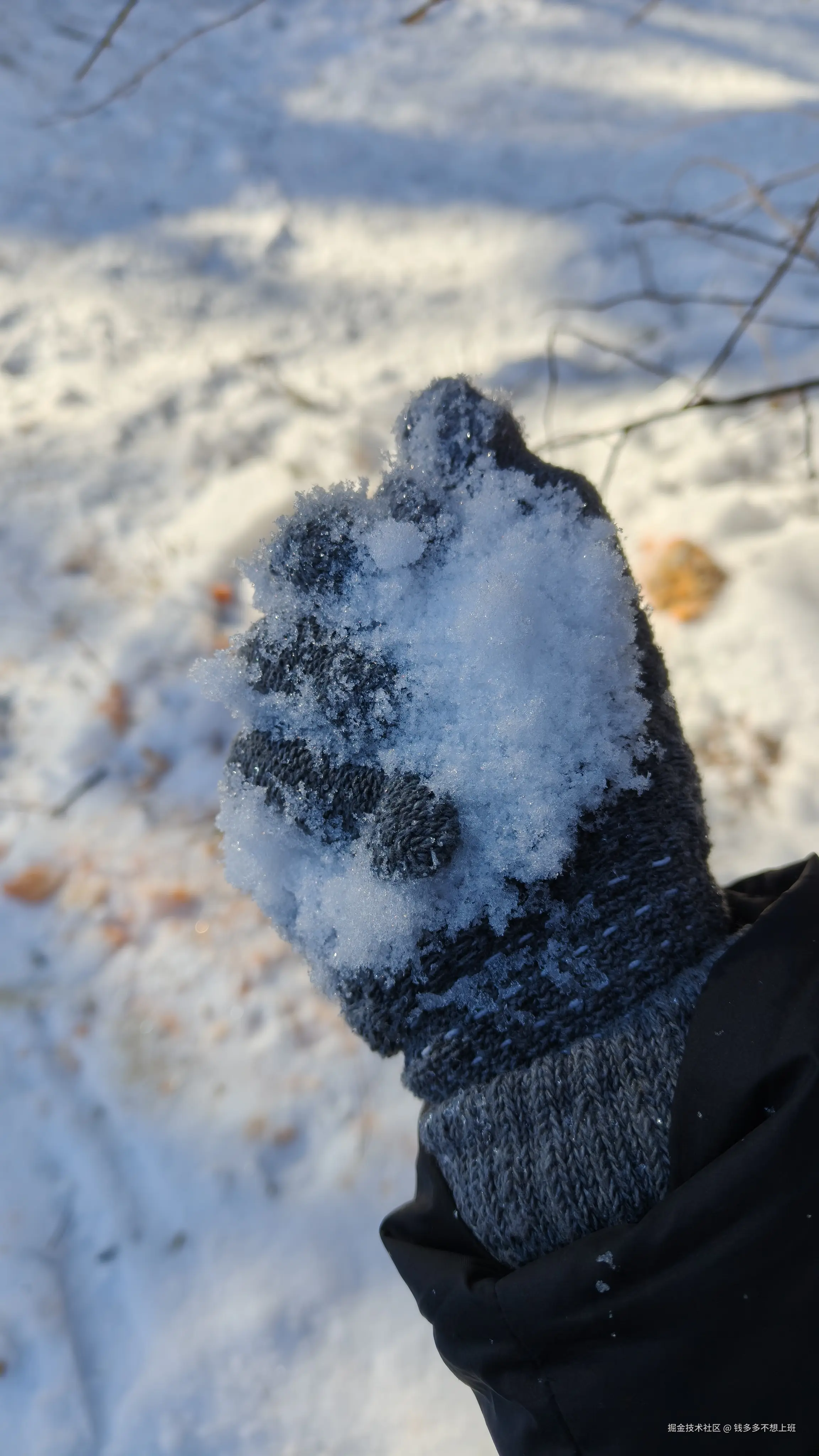 钱多多不想上班于2026-01-05 16:00发布的图片