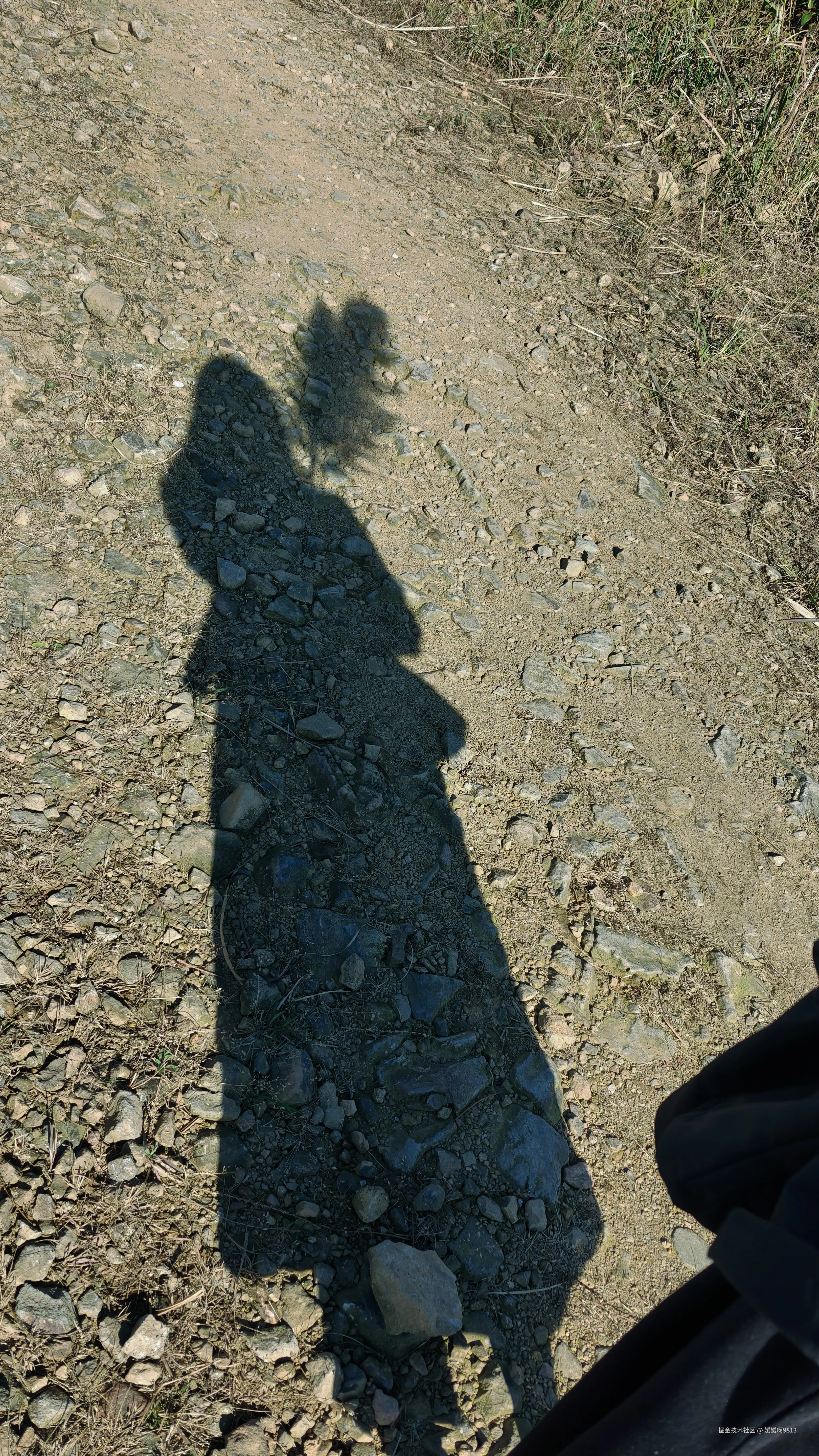 媛媛啊9813于2025-11-22 06:48发布的图片