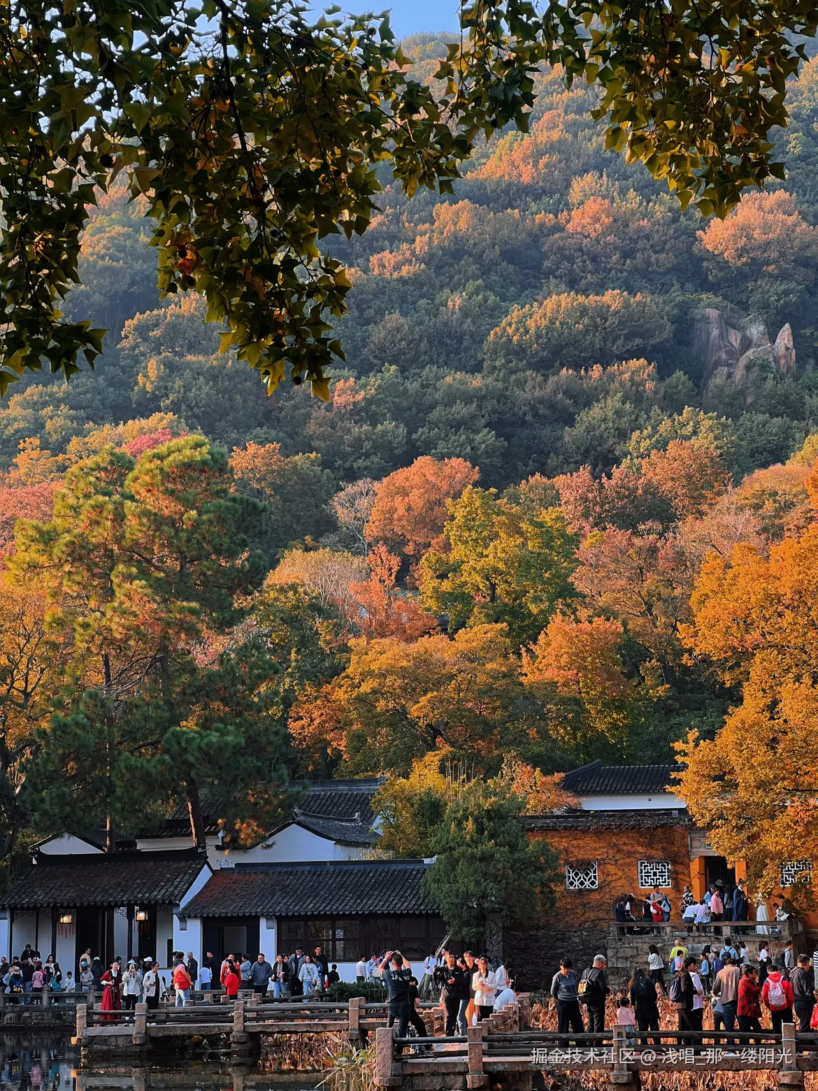 浅唱_那一缕阳光于2025-11-18 10:05发布的图片