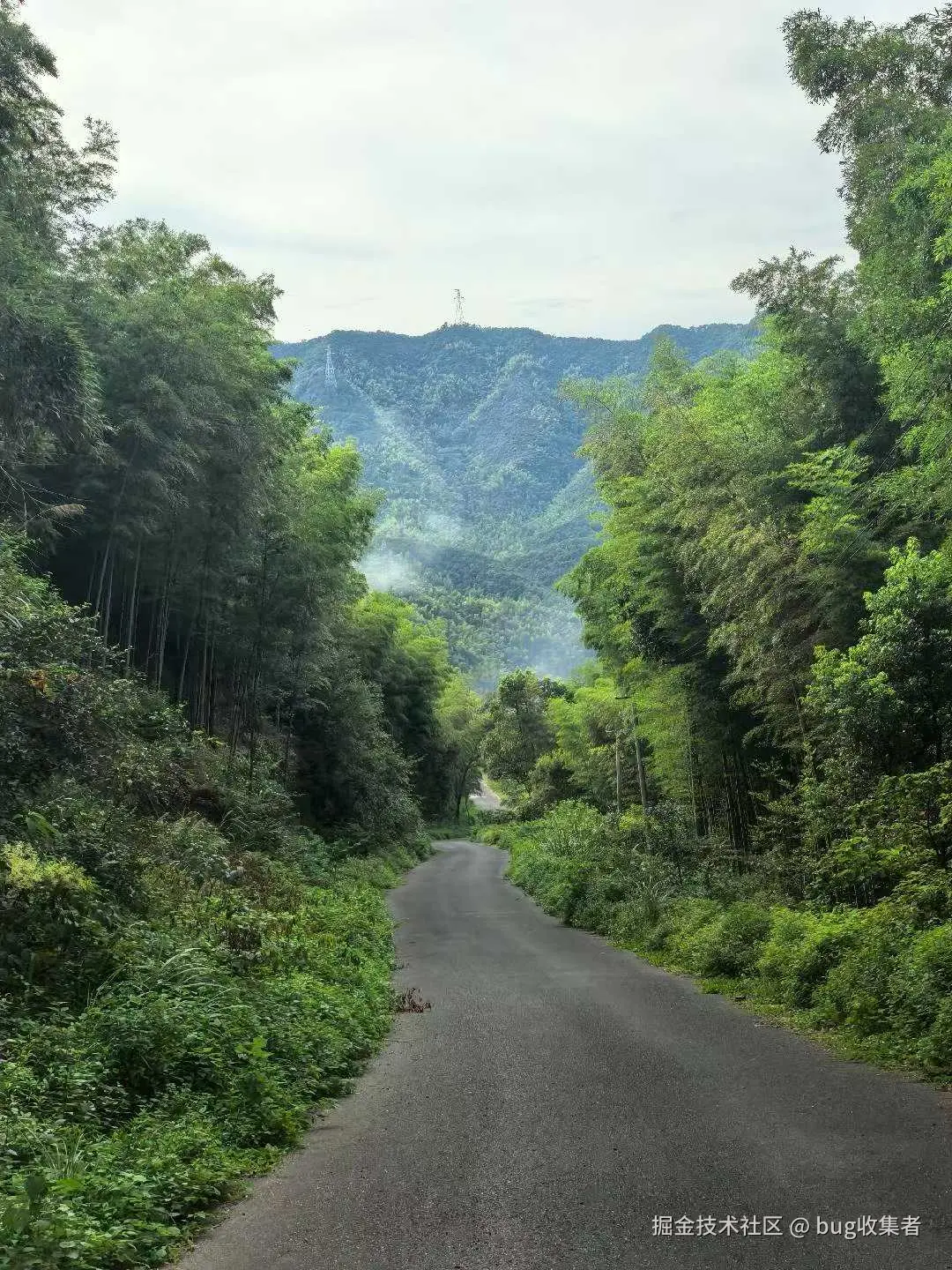 bug收集者于2025-08-11 11:32发布的图片