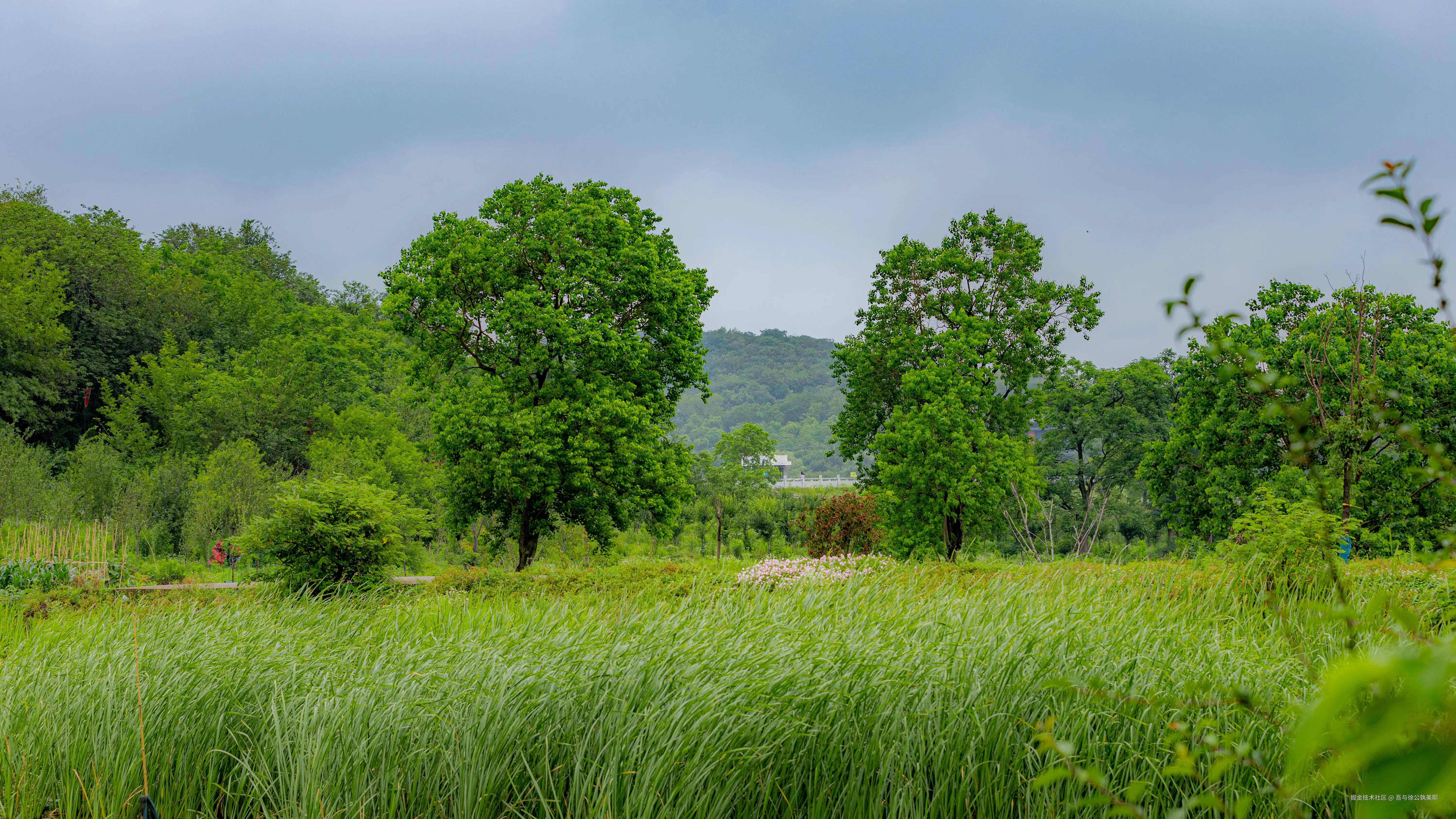 吾与徐公孰美耶于2025-06-13 10:05发布的图片