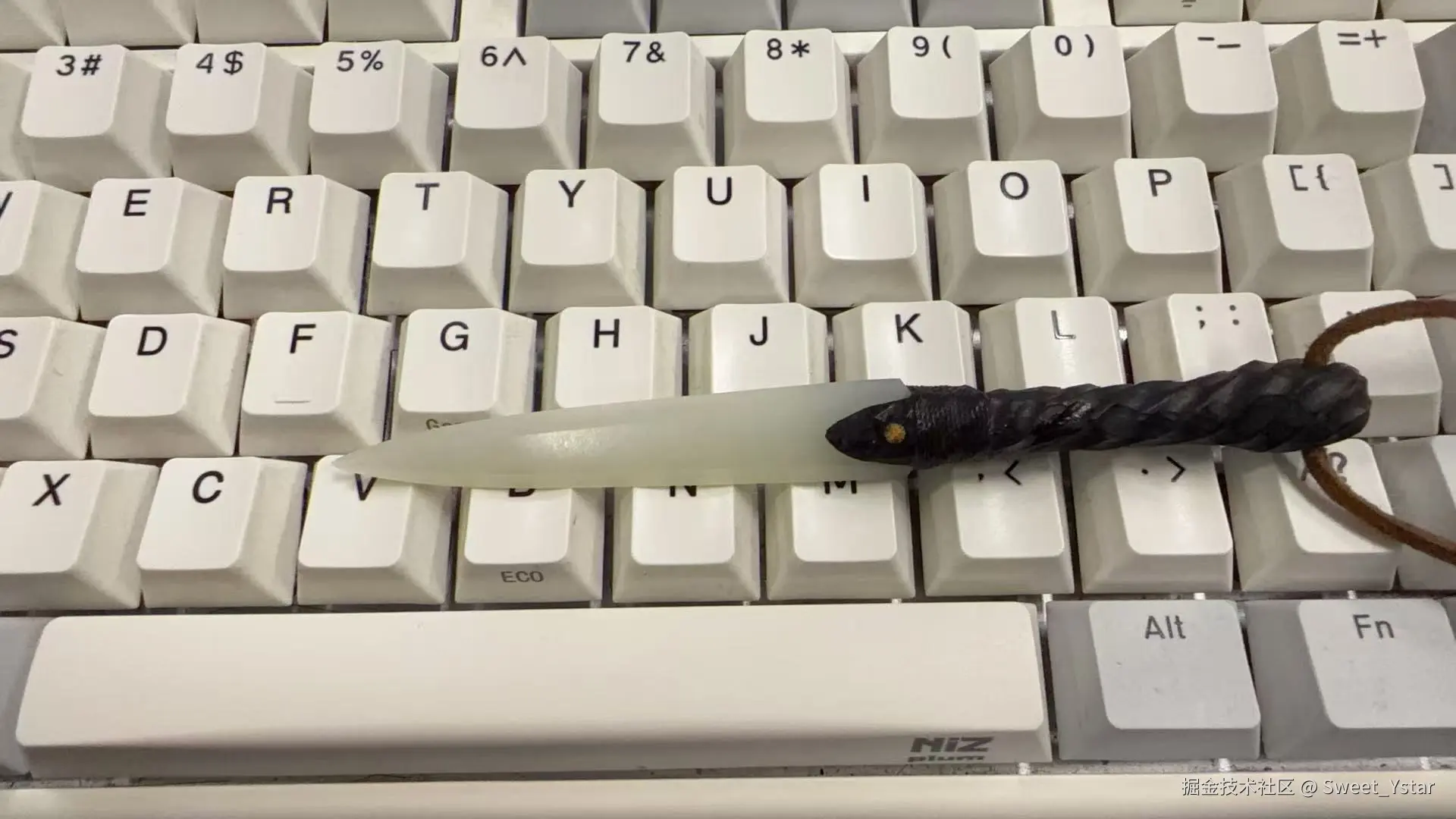 Sweet_Ystar于2026-03-05 14:32发布的图片