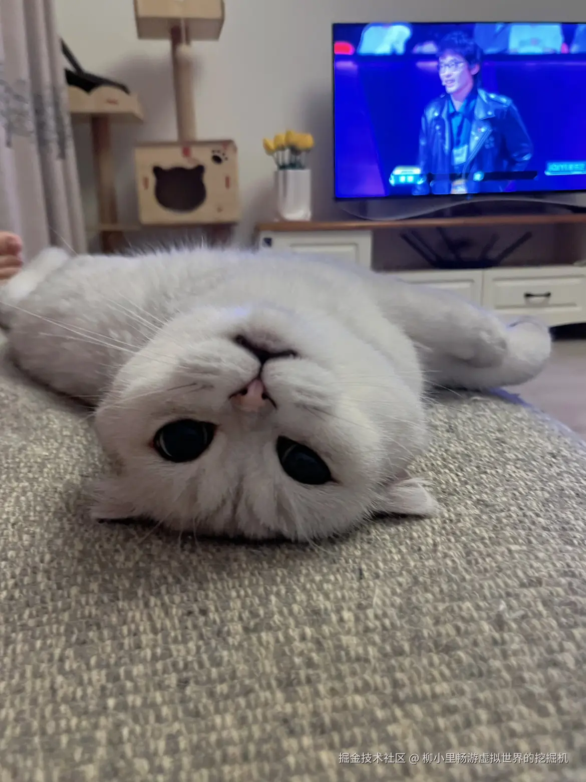 柳小里畅游虚拟世界的挖掘机于2025-11-18 16:34发布的图片