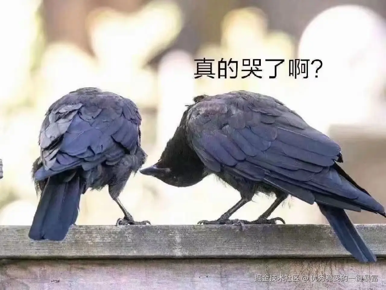 优秀稳妥的一键暴富于2025-08-30 23:24发布的图片