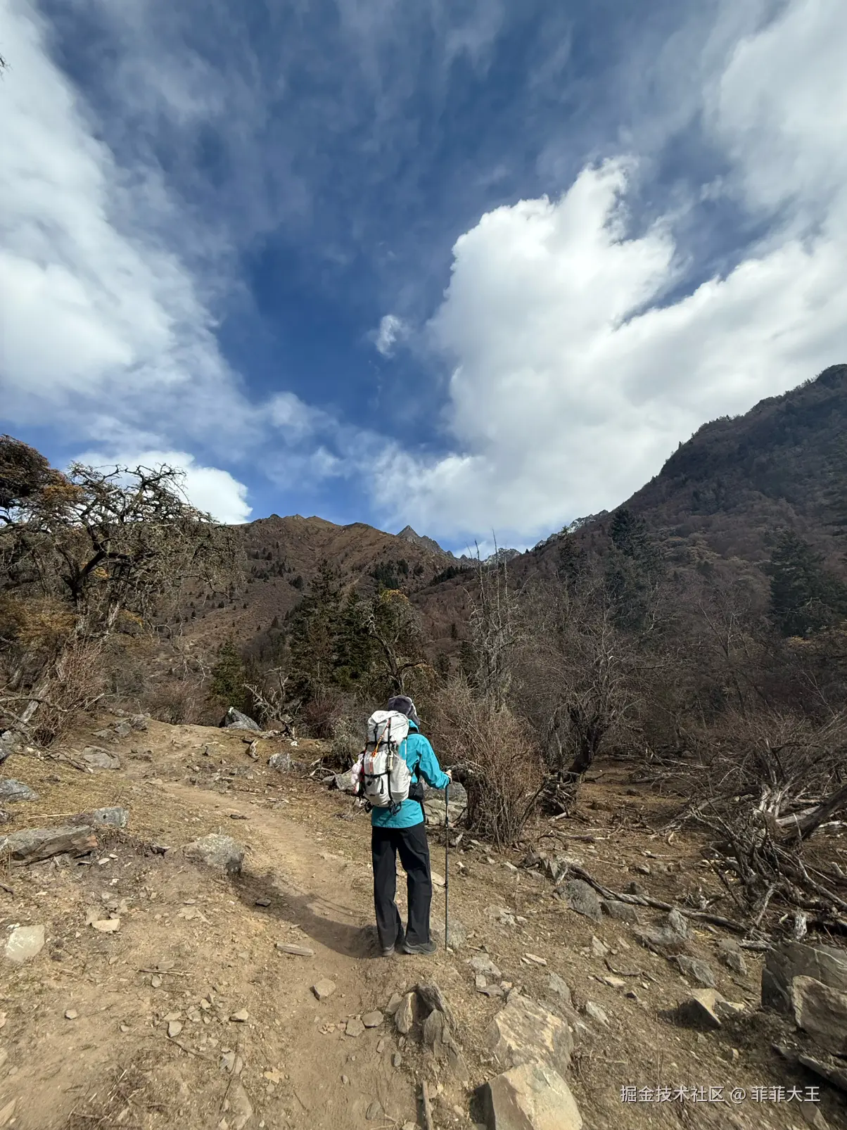 菲菲大王于2025-12-15 10:55发布的图片