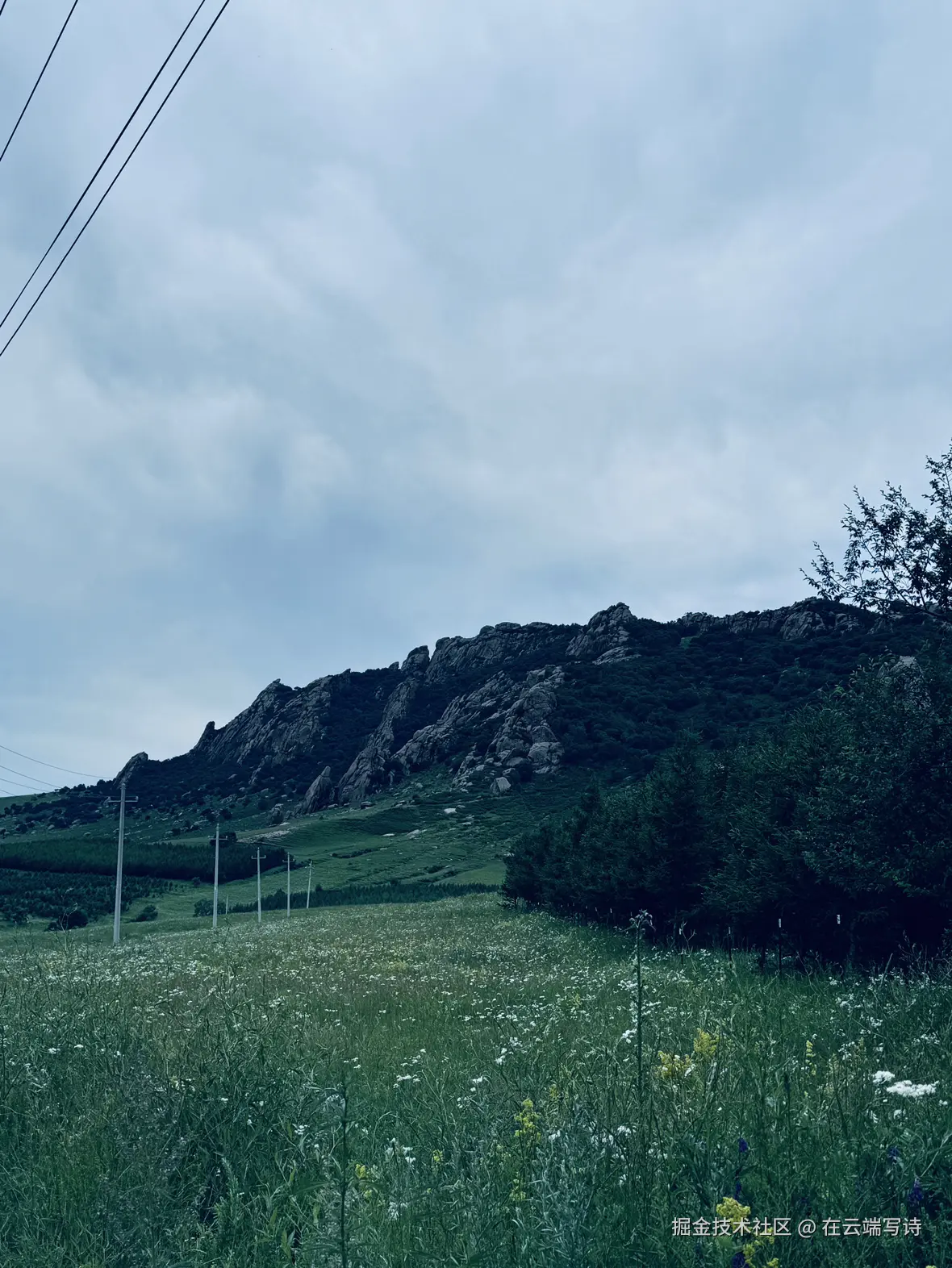 在云端写诗于2025-07-15 10:11发布的图片