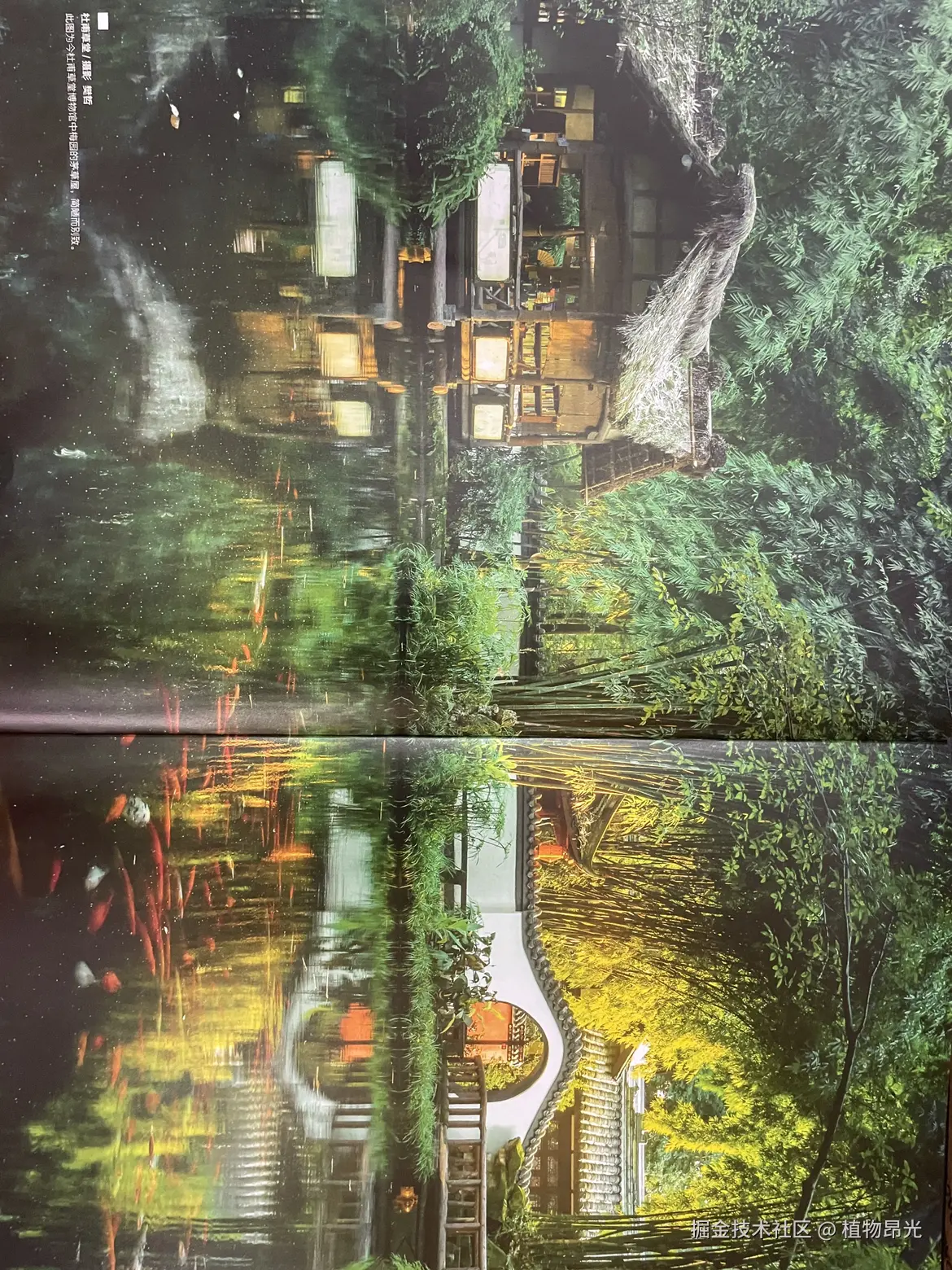 植物昂光于2026-04-04 17:22发布的图片