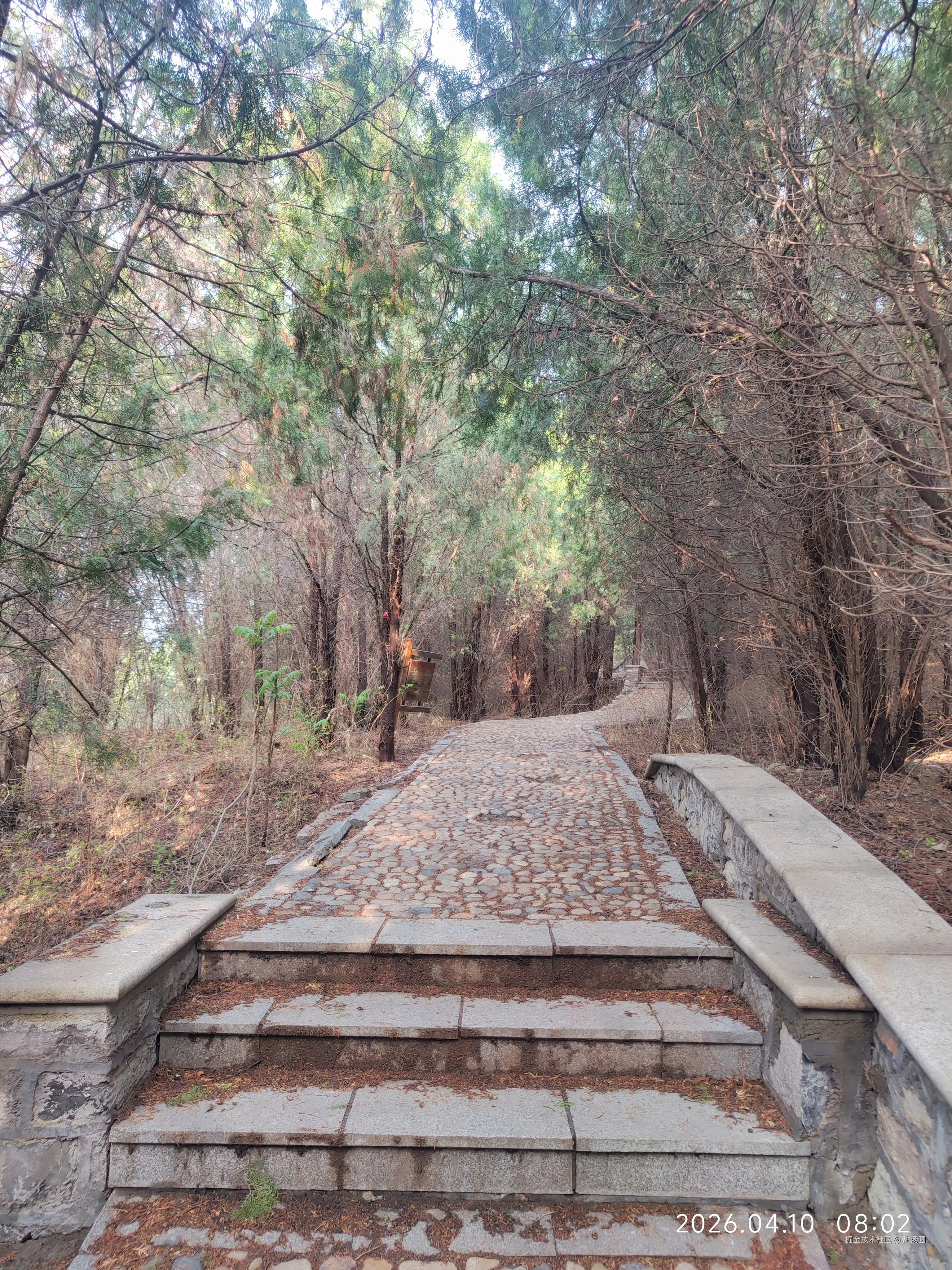 甜汤圆于2026-04-10 08:08发布的图片