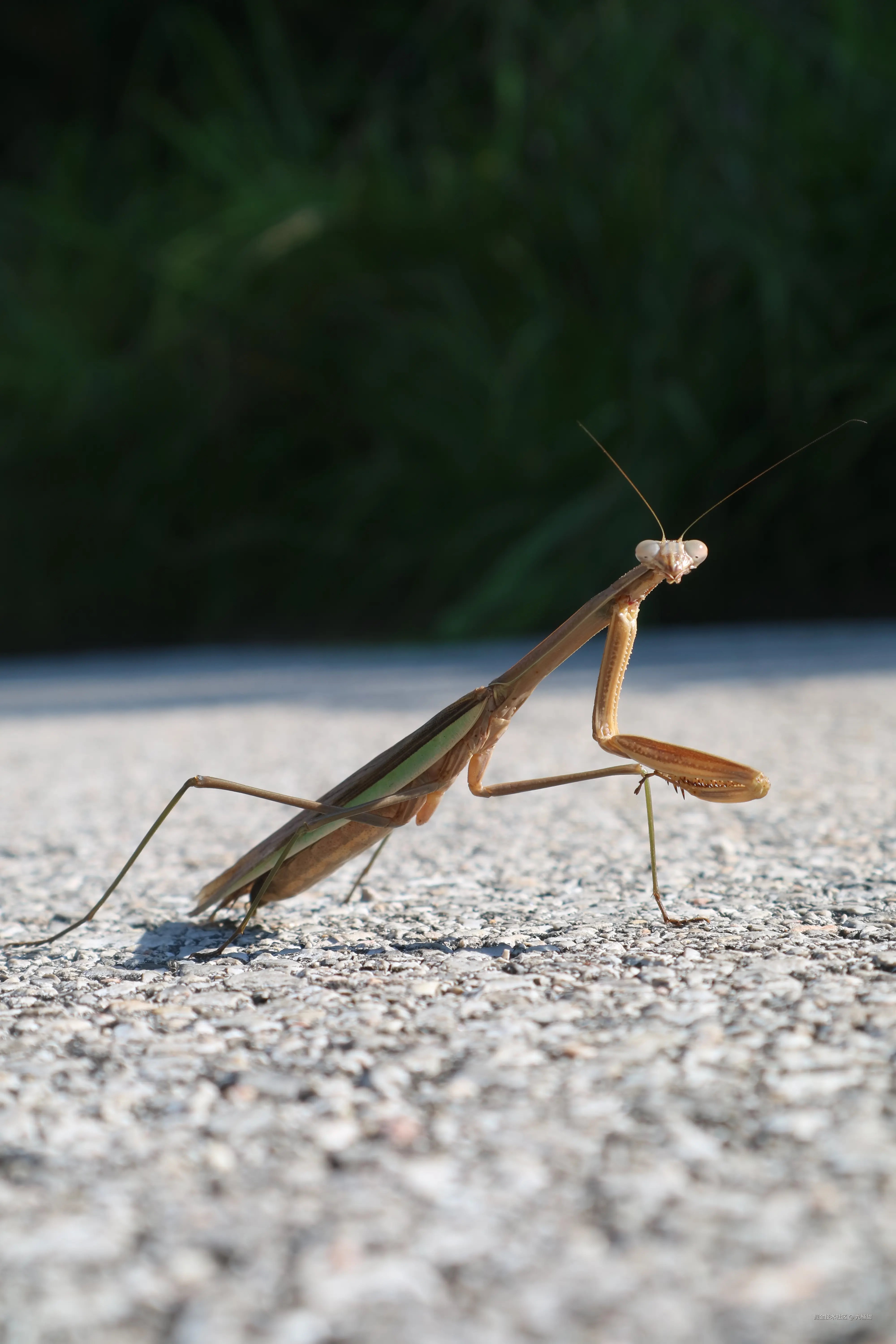 九桶甜于2025-11-17 11:37发布的图片