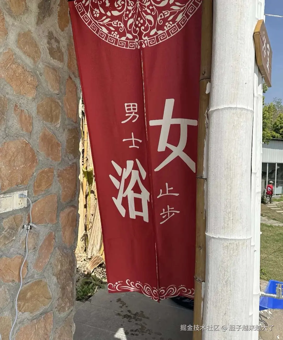 胆子越来越大了于2026-04-07 10:29发布的图片