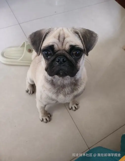 我在前端学掘金于2025-07-25 10:55发布的图片