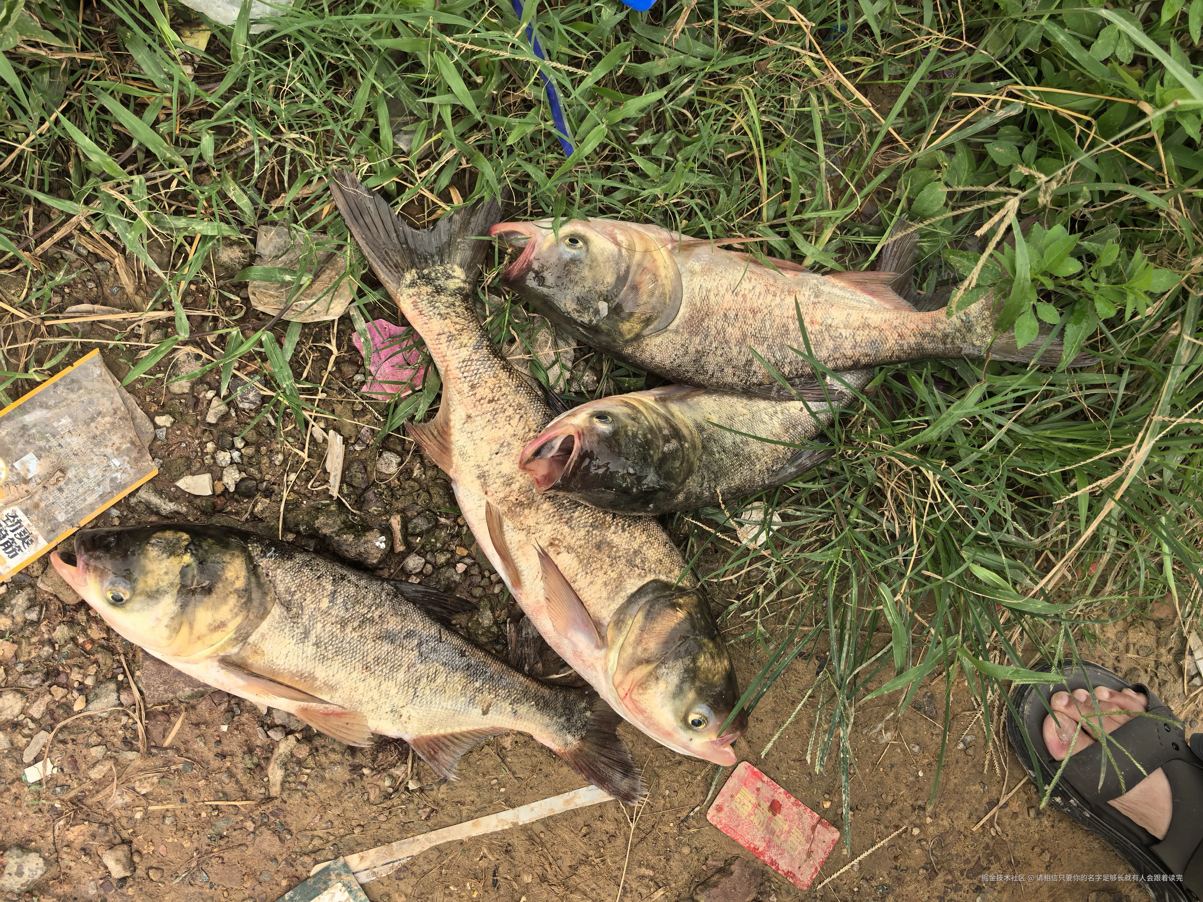 请相信只要你的名字足够长就有人会跟着读完于2025-08-18 10:26发布的图片