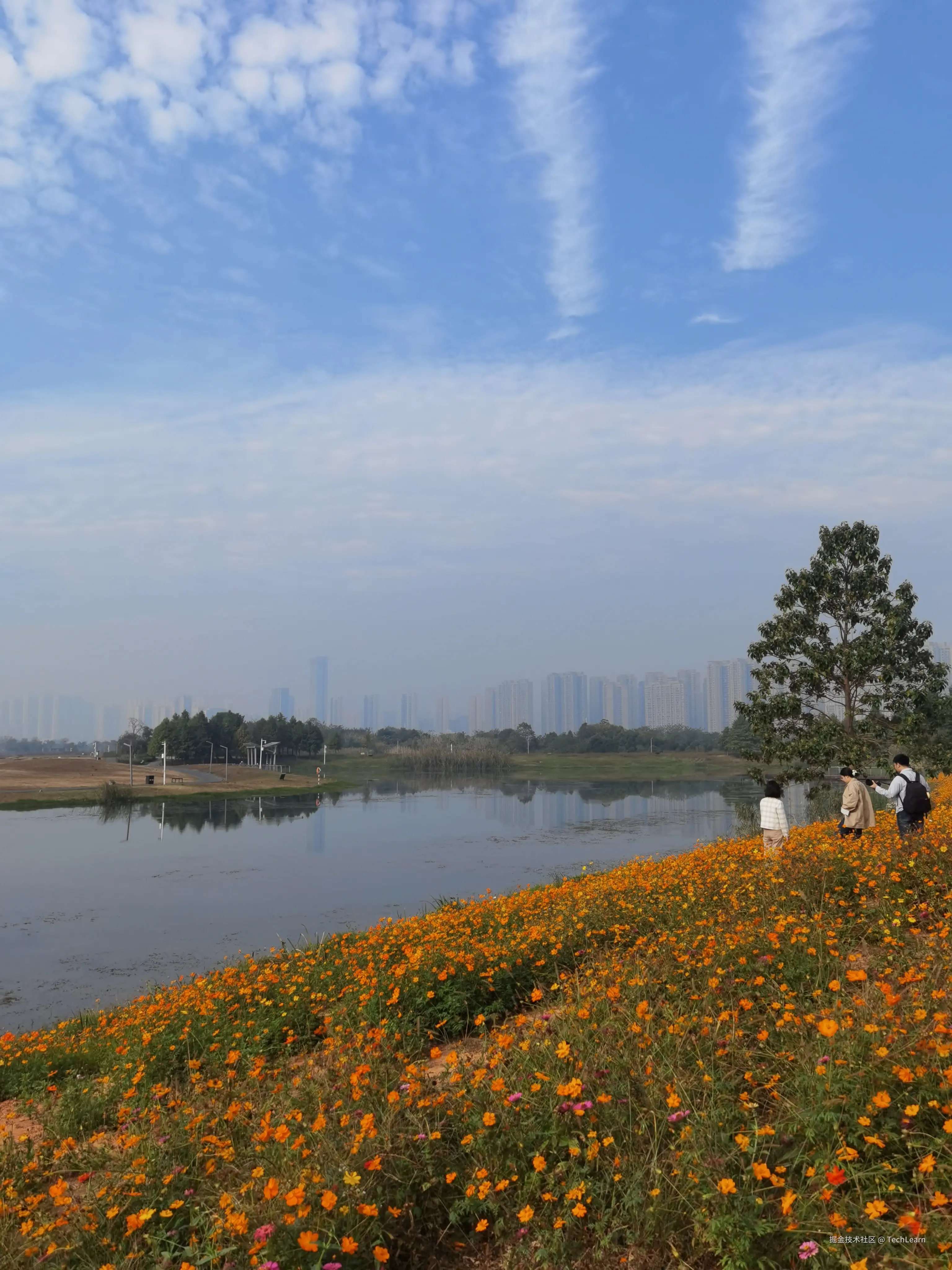 TechLearn于2024-11-09 01:36发布的图片