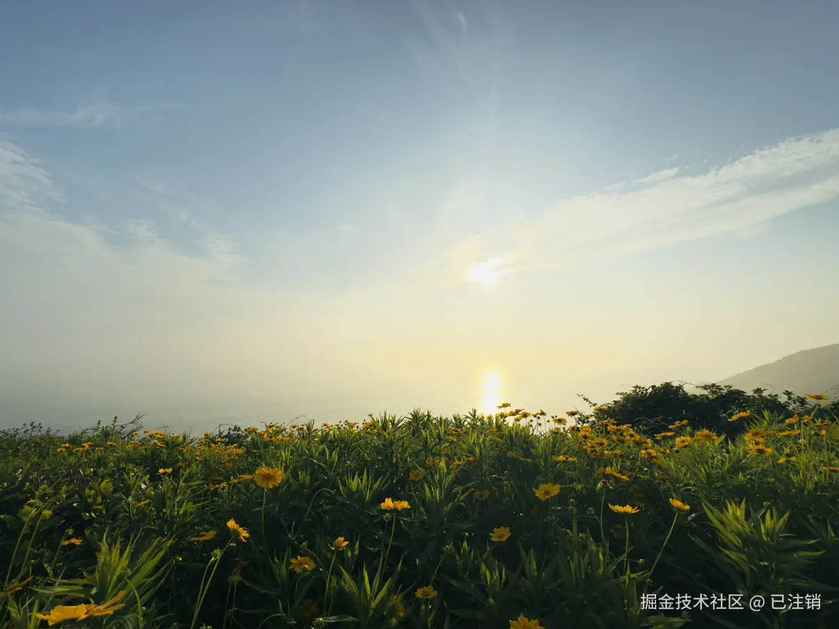 已注销于2025-05-19 02:38发布的图片