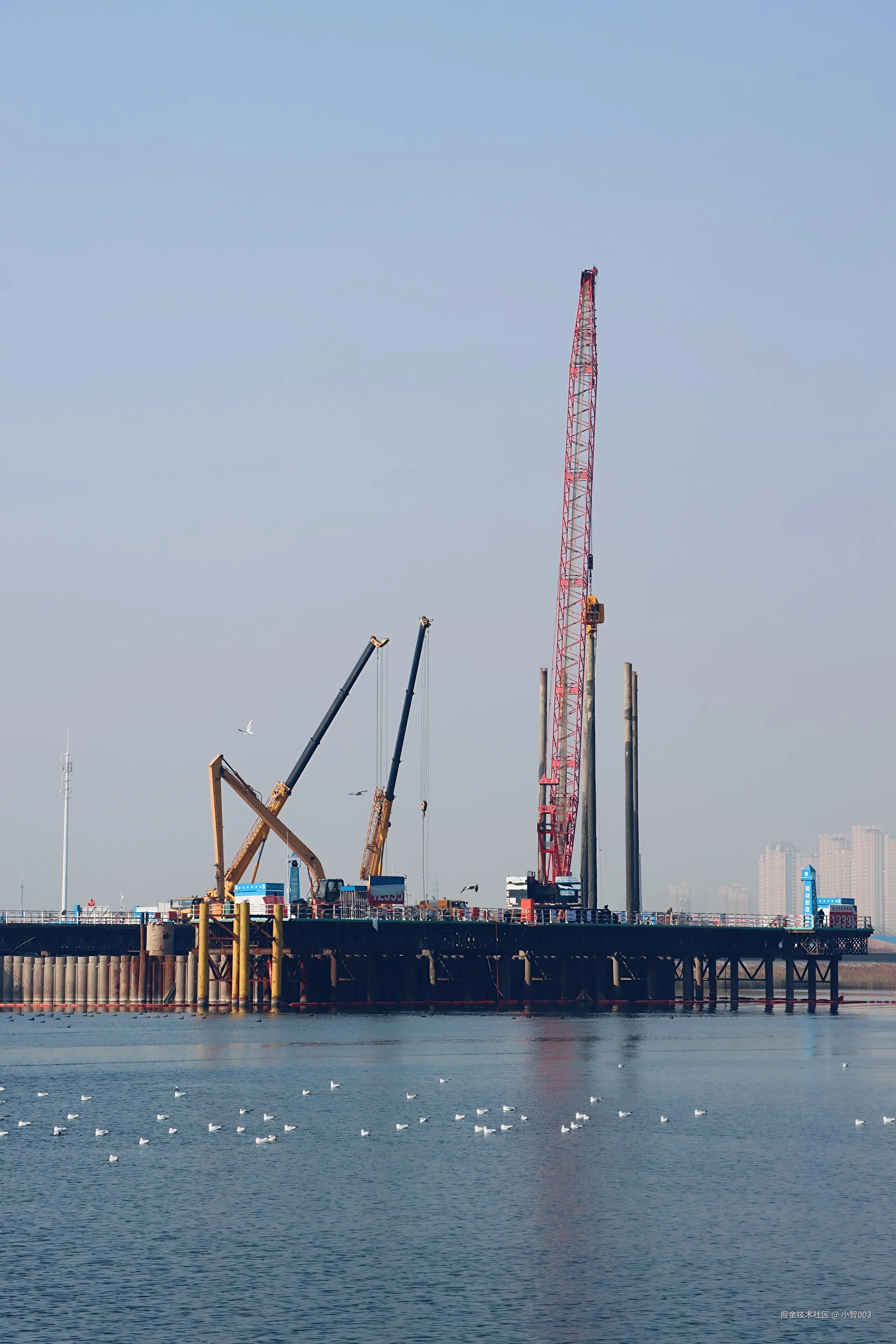 小智003于2024-12-23 11:34发布的图片