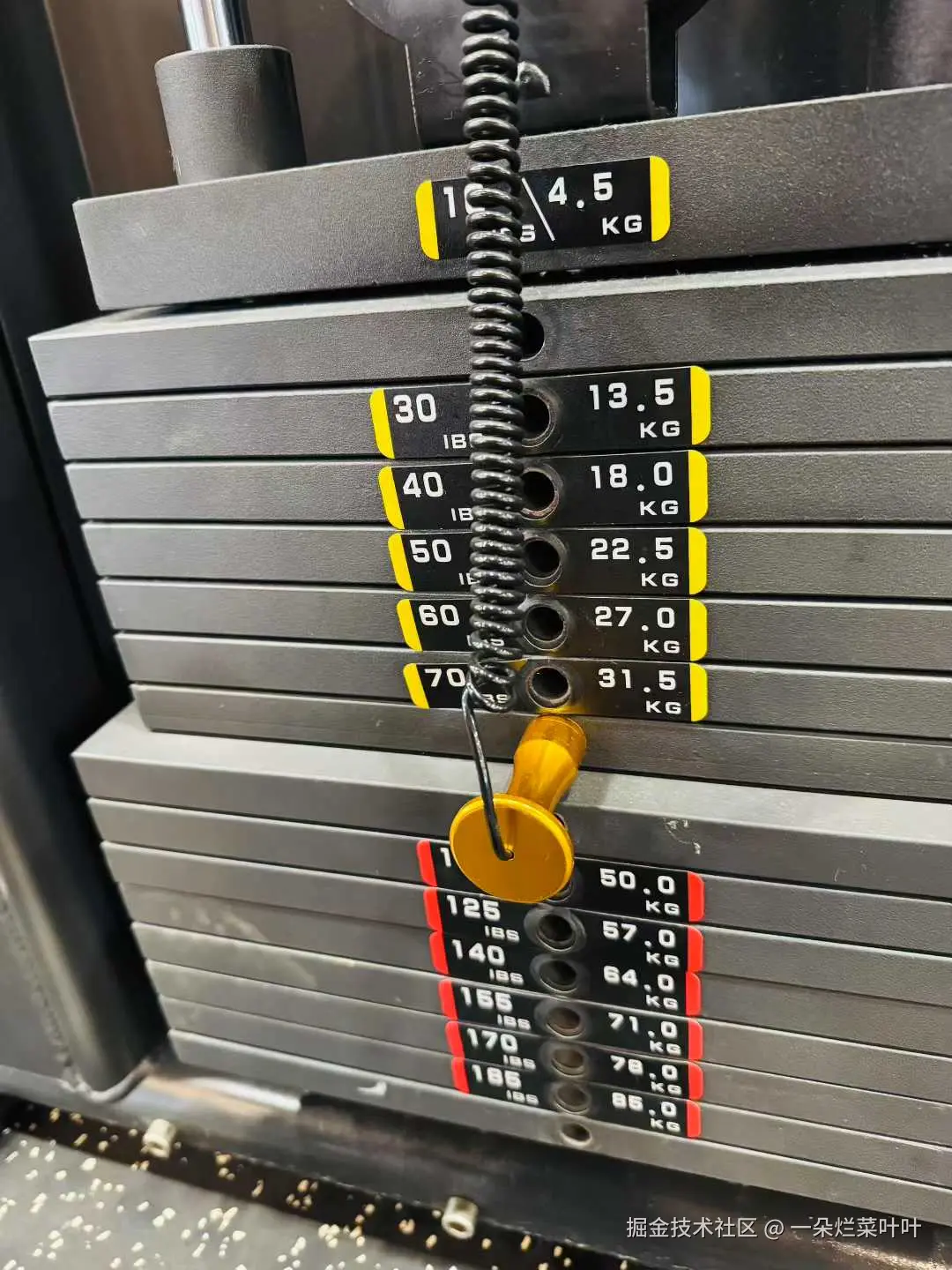 一朵烂菜叶叶于2025-07-29 13:26发布的图片