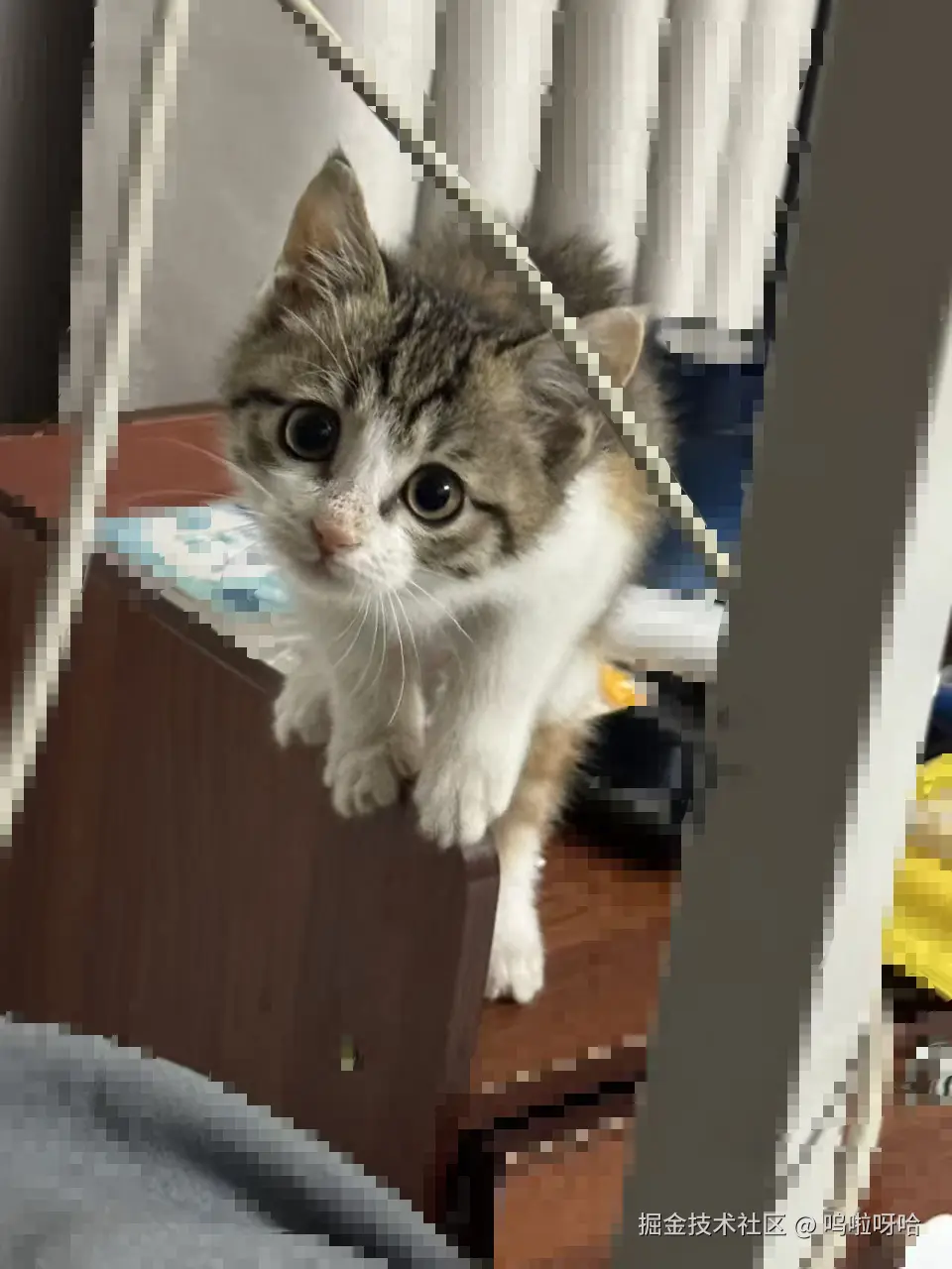 呜啦呀哈于2025-11-28 10:27发布的图片