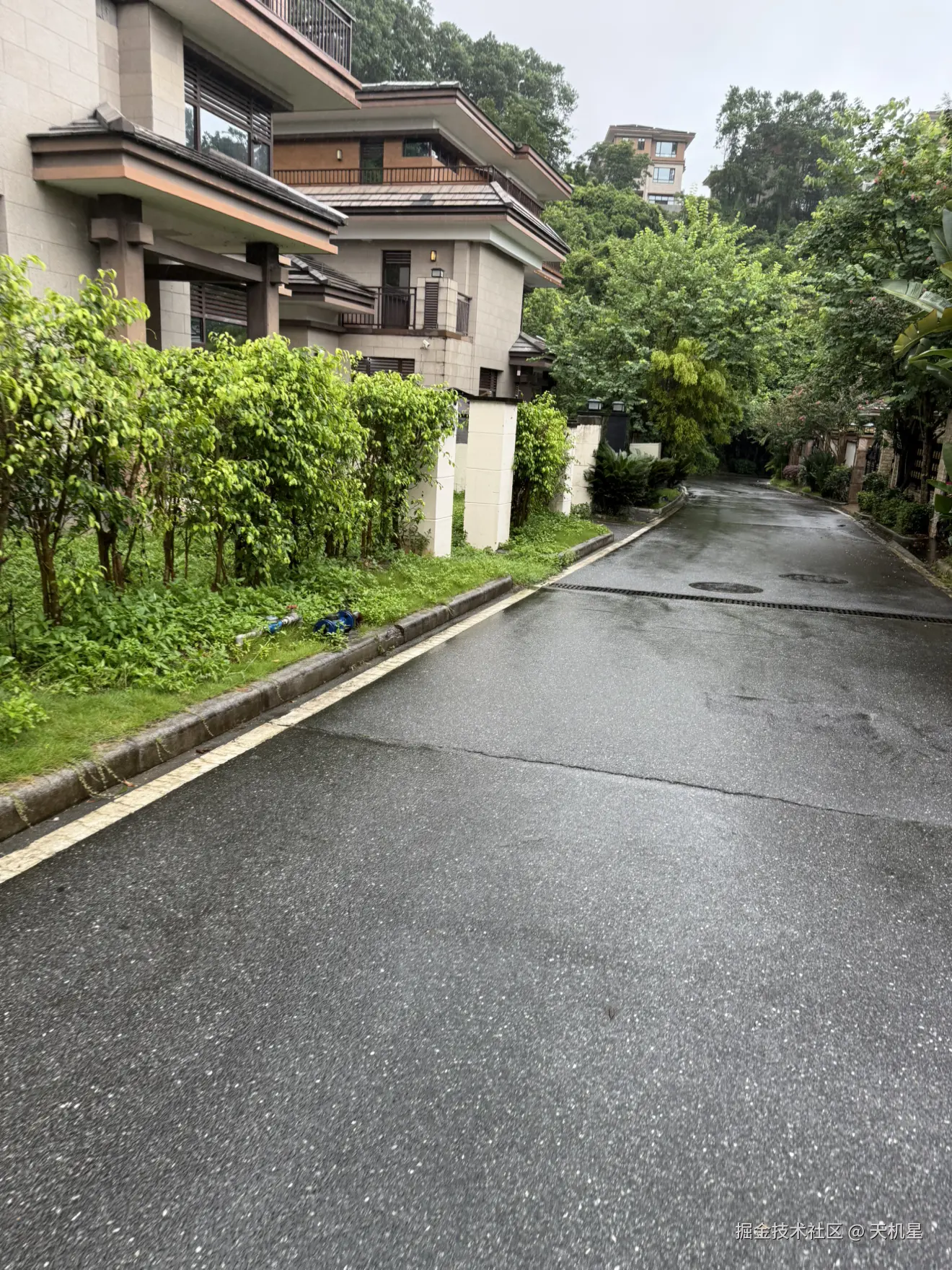天机星于2026-07-27 02:29发布的图片