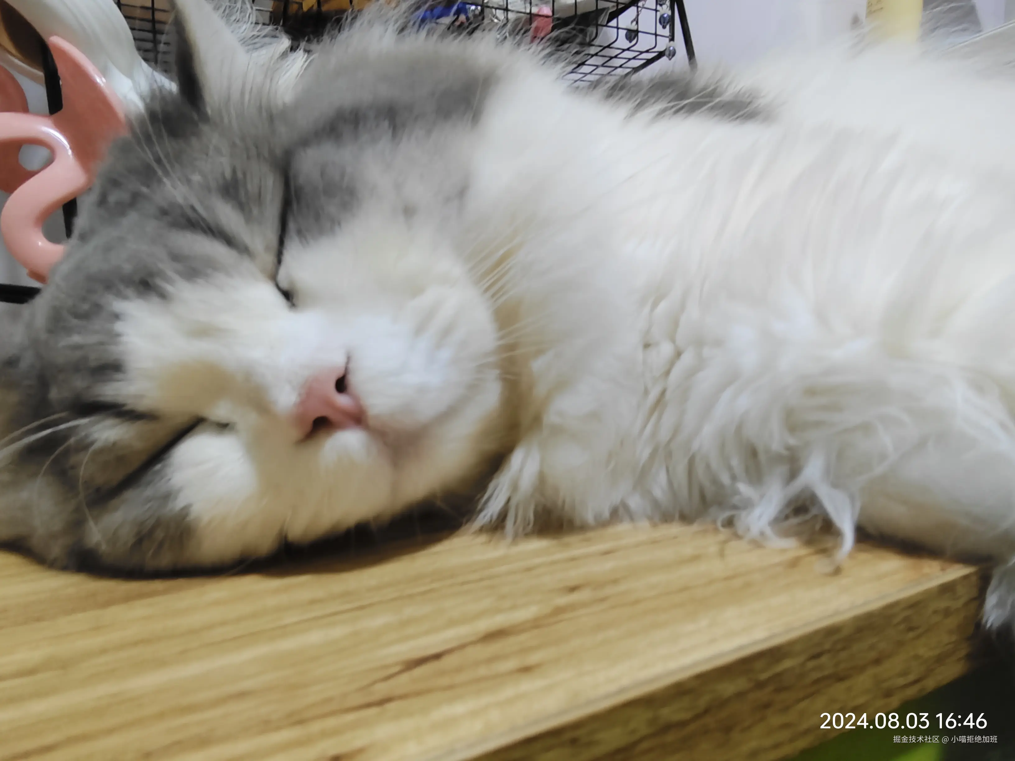 小喵拒绝加班于2024-10-16 12:33发布的图片