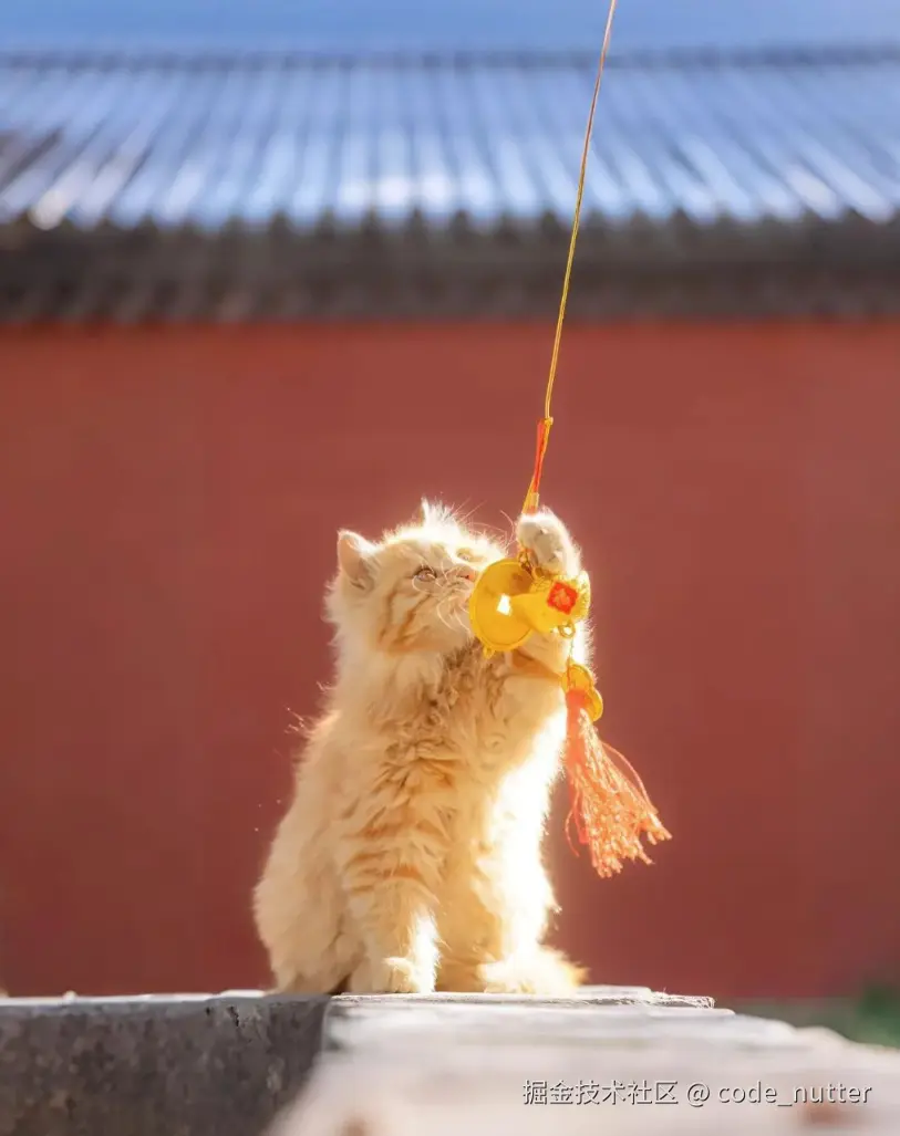 code_nutter于2024-09-26 10:00发布的图片