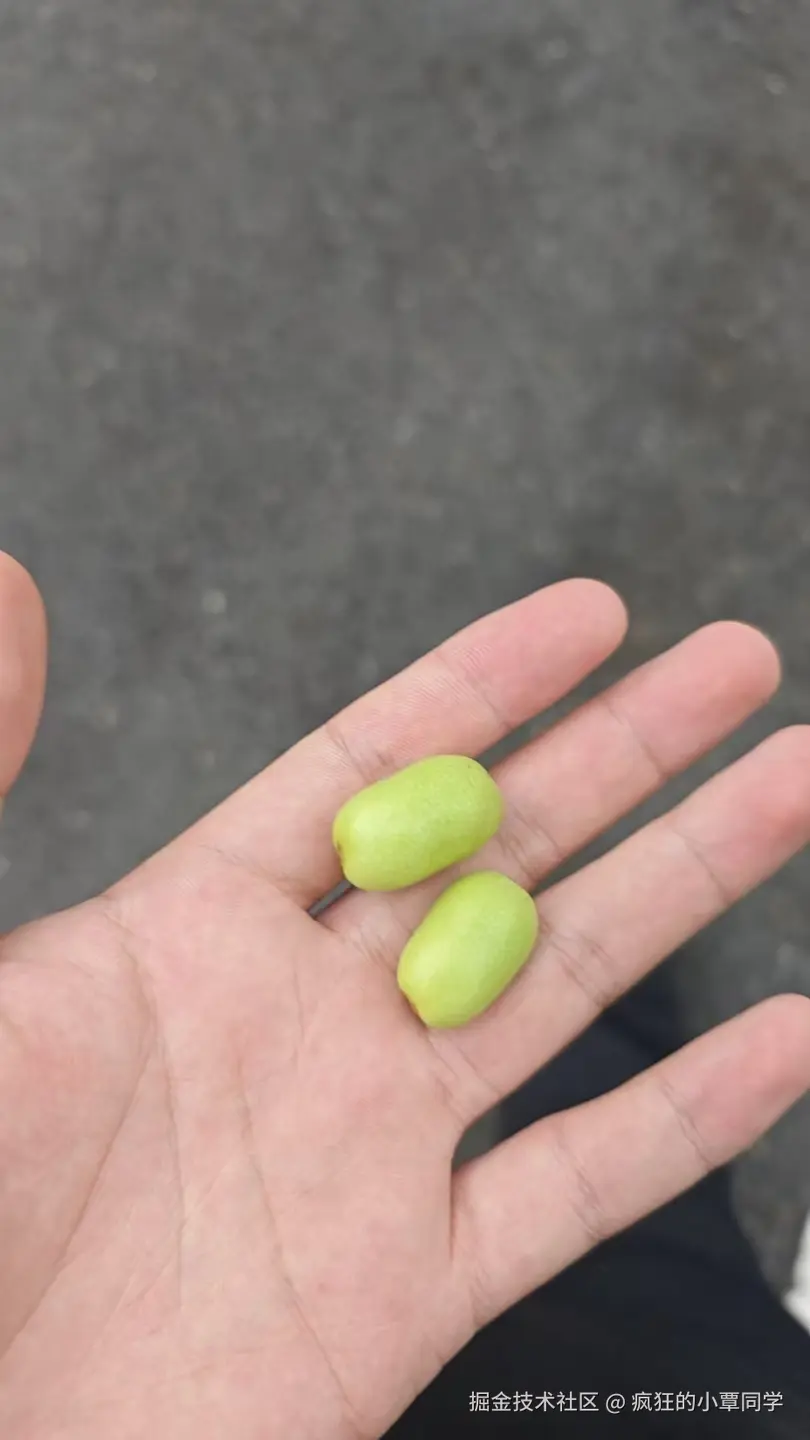 疯狂的小覃同学于2025-09-19 16:04发布的图片