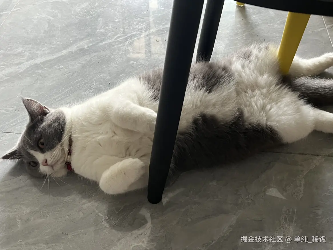 单纯_稀饭于2024-08-30 06:36发布的图片