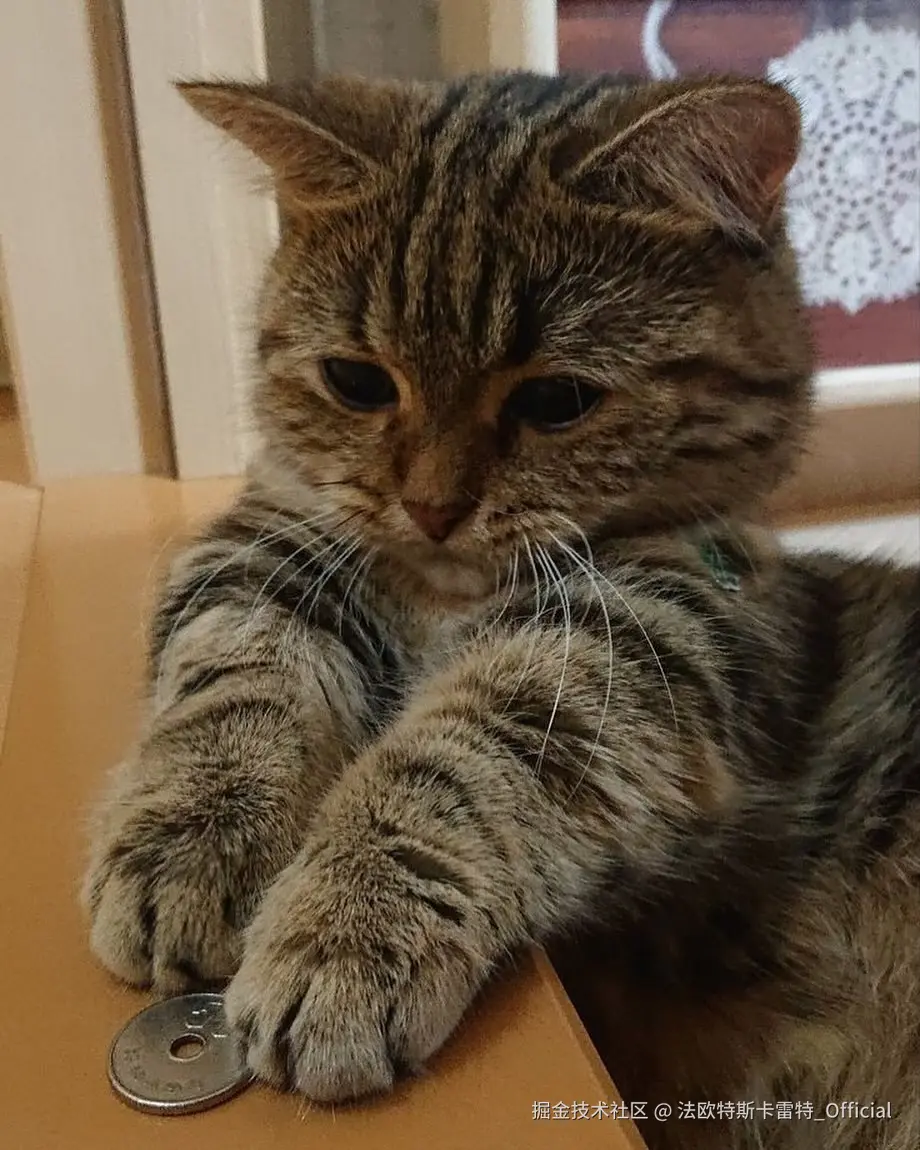 法欧特斯卡雷特_Official于2024-11-19 16:05发布的图片