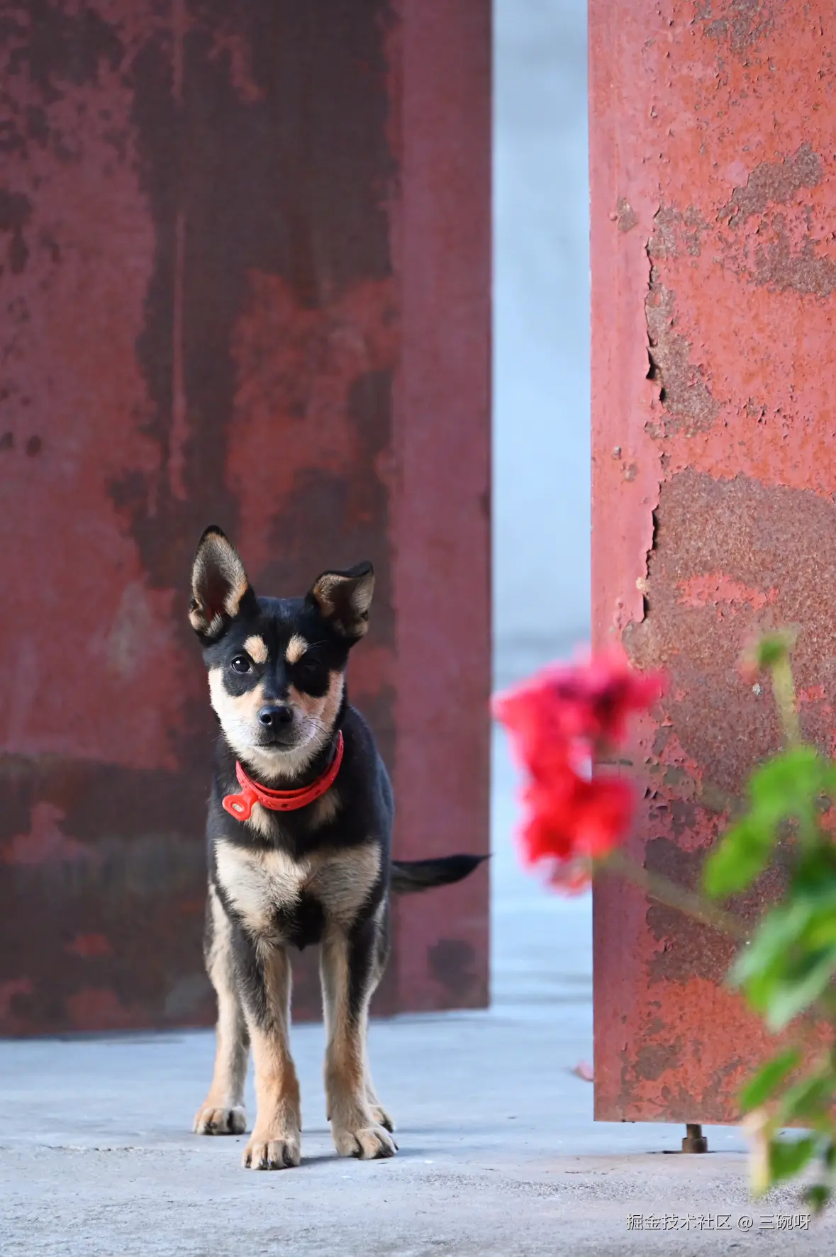 三碗呀于2025-05-12 09:39发布的图片