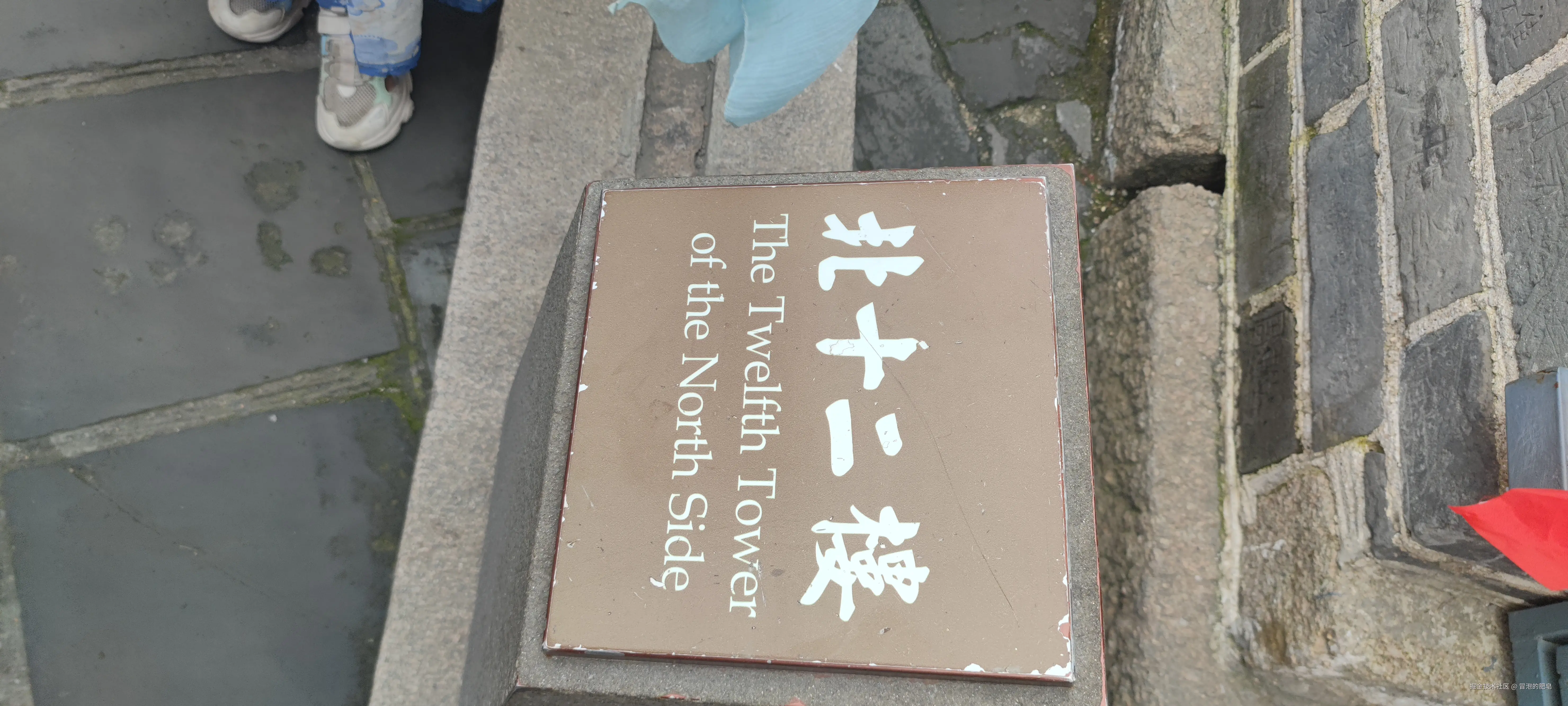 冒泡的肥皂于2024-09-16 15:59发布的图片