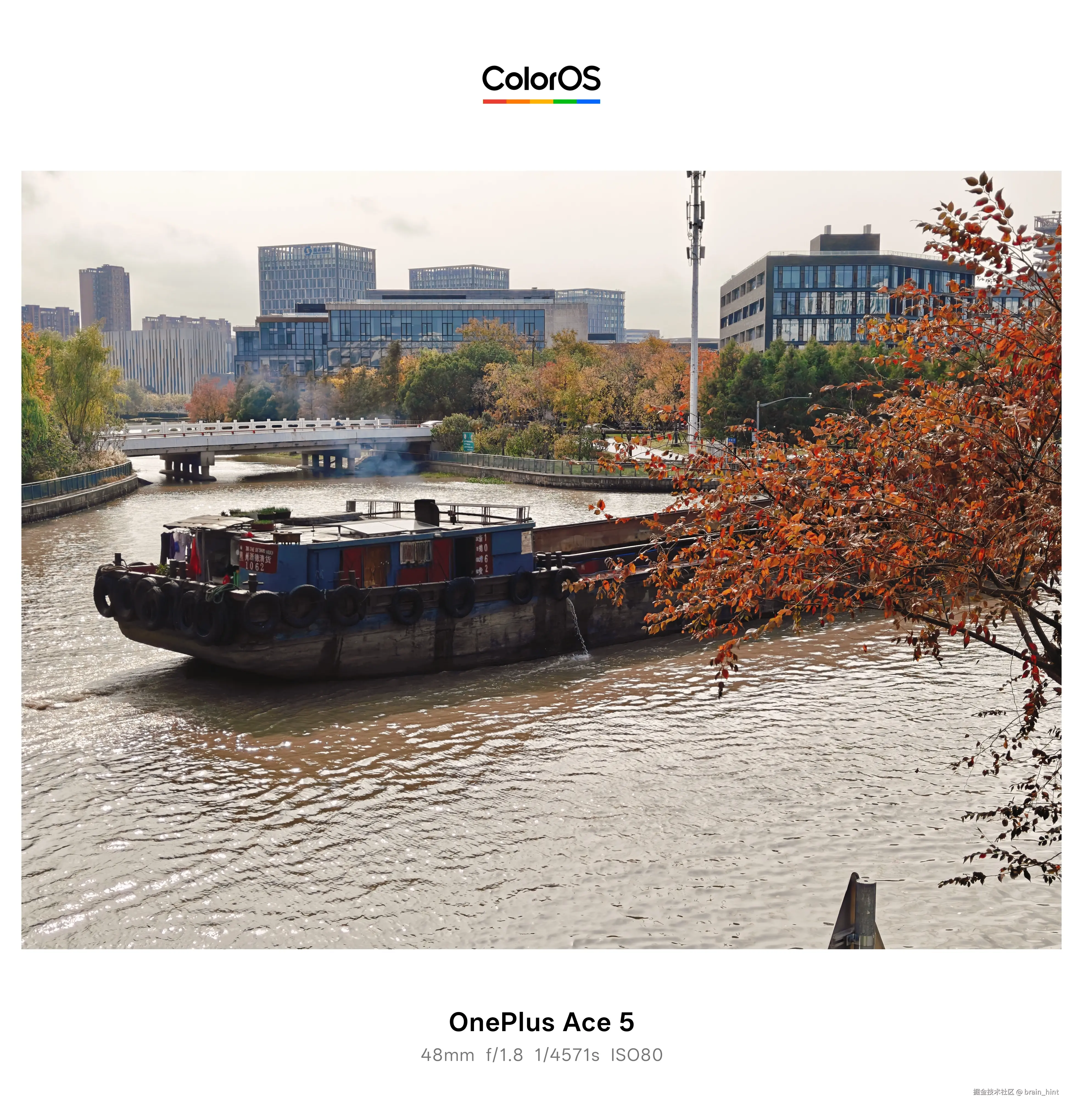 brain_hint于2025-12-02 13:23发布的图片