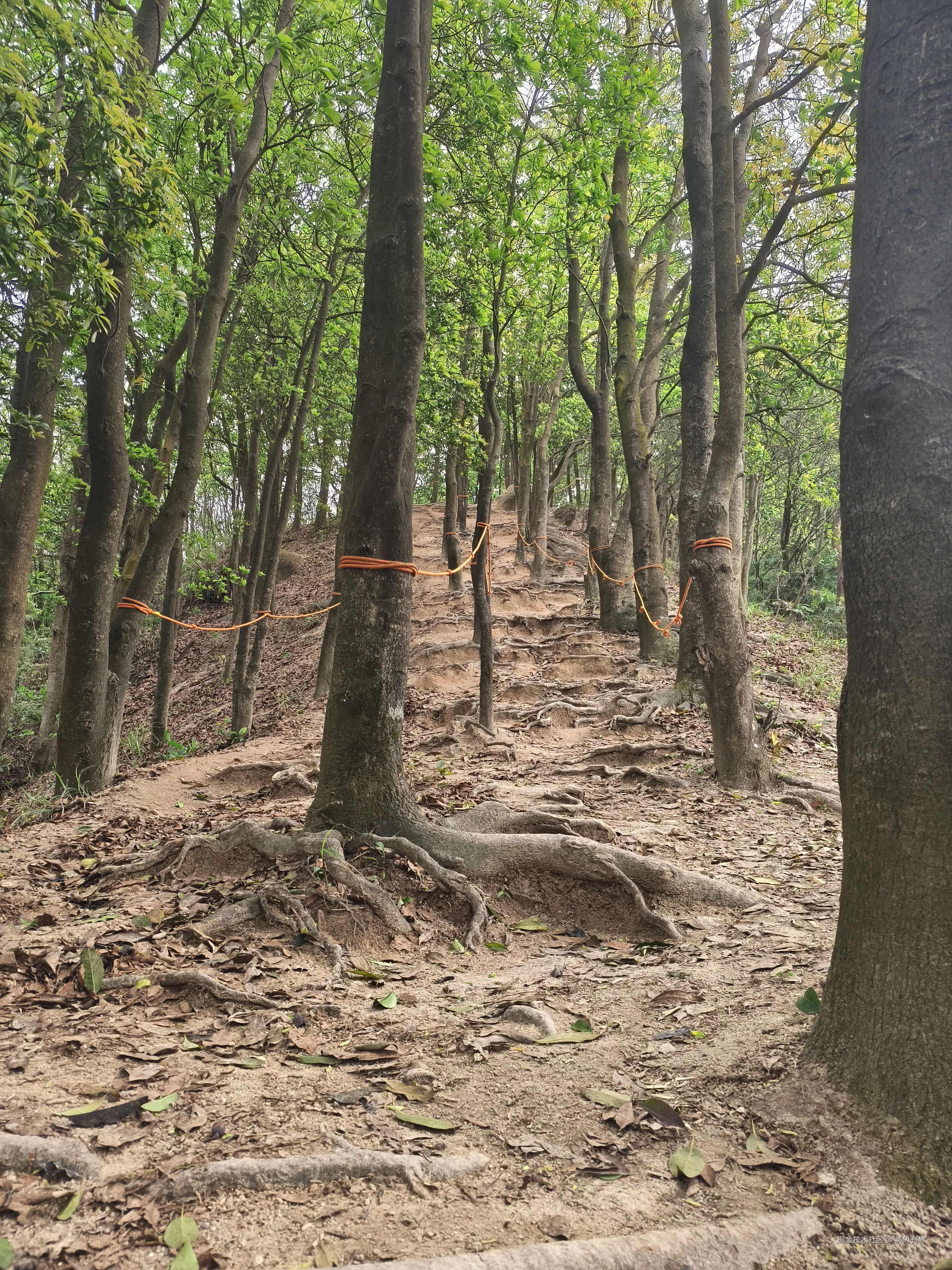 清风有界于2026-04-10 14:17发布的图片