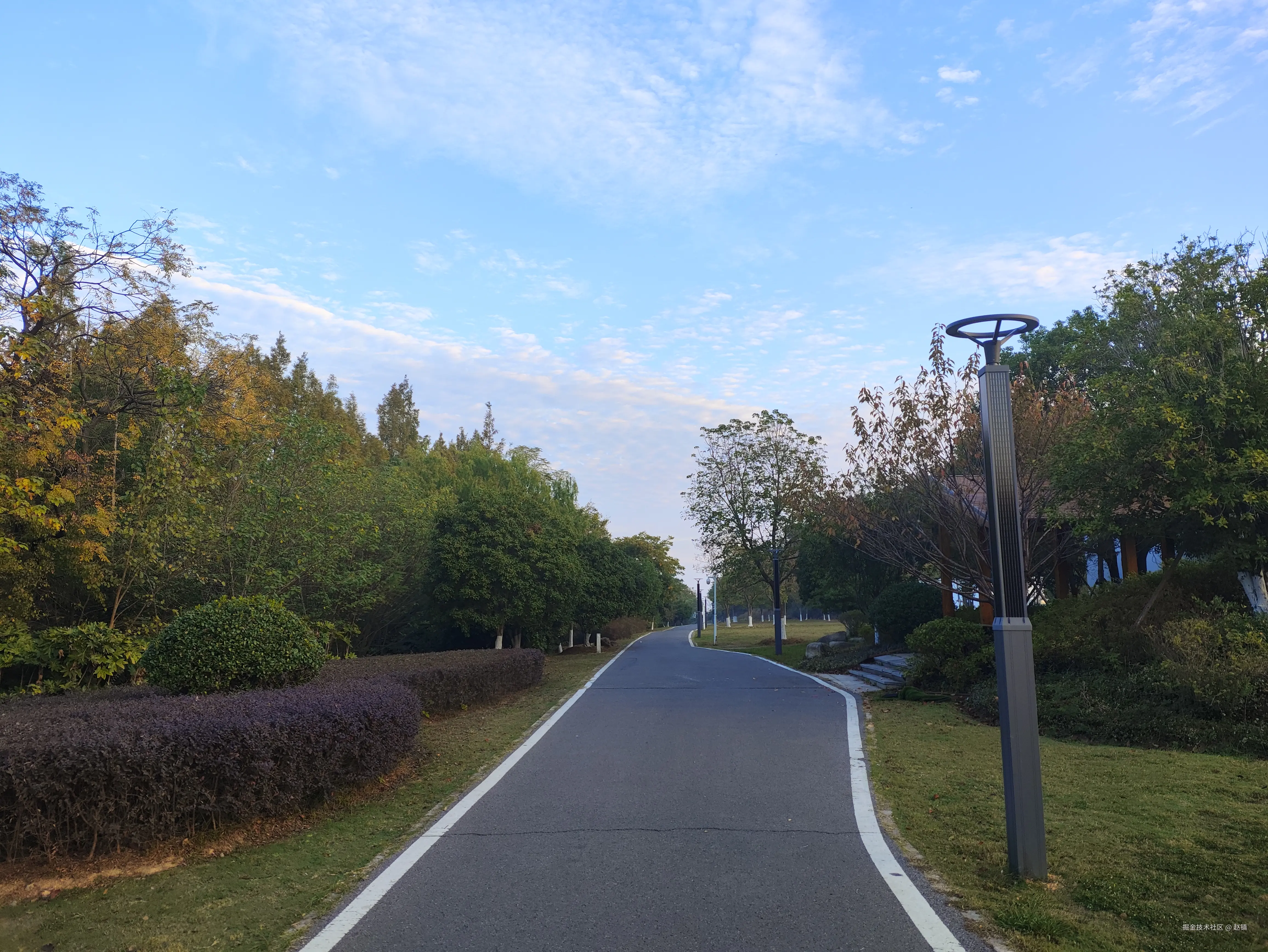 赵镇于2024-11-08 06:53发布的图片