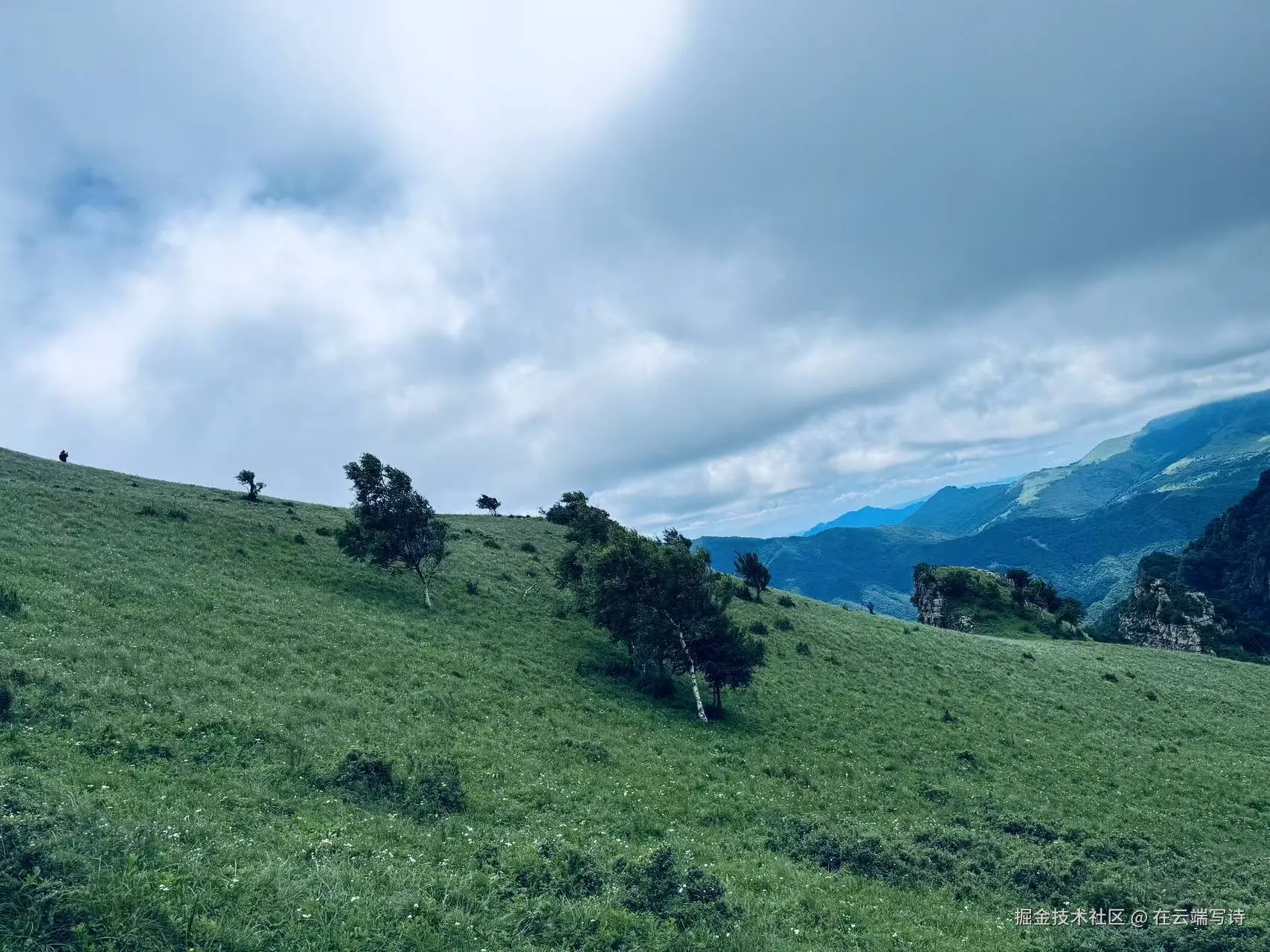 在云端写诗于2025-07-07 10:21发布的图片
