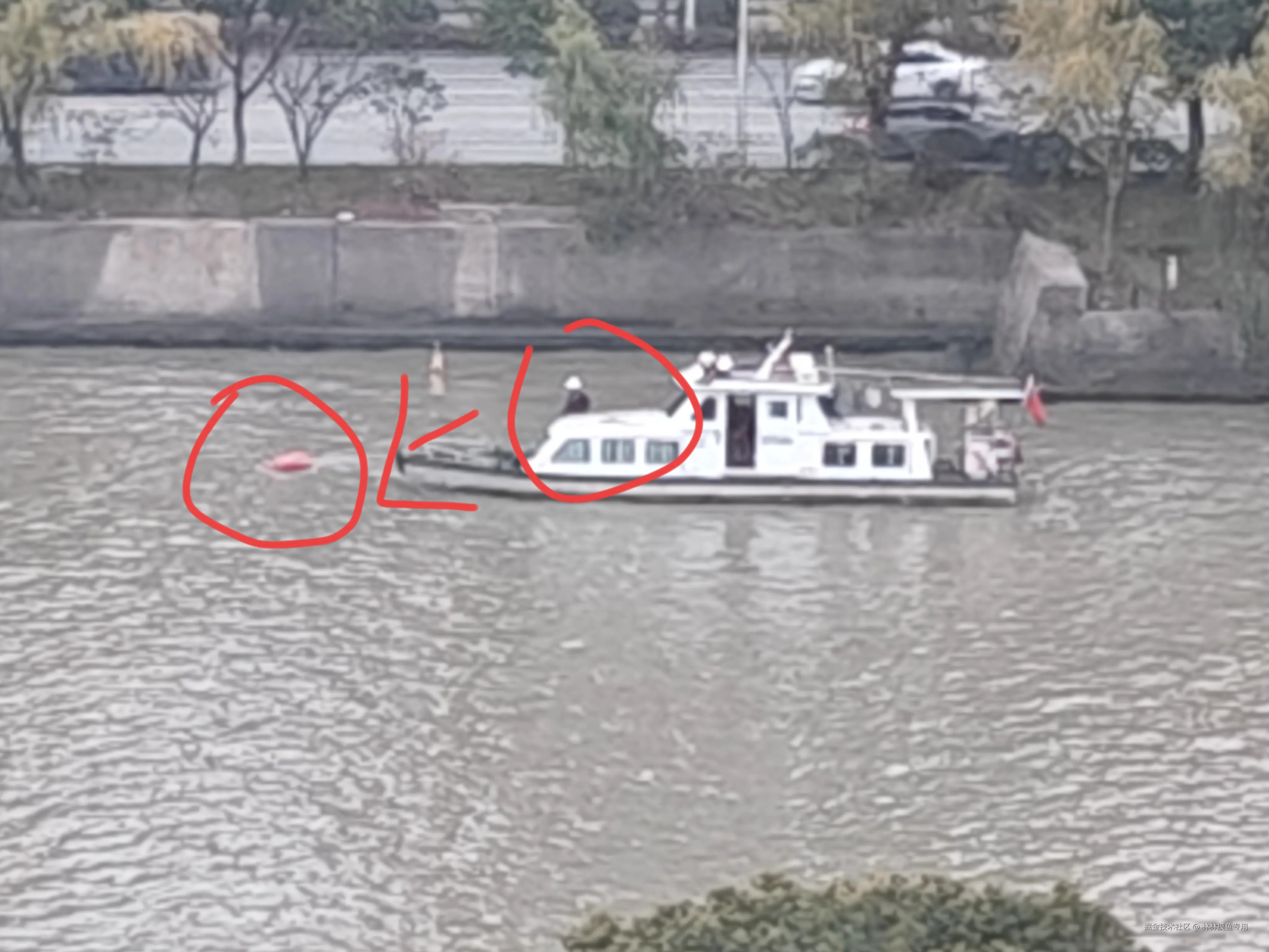 林林摸鱼专用于2024-12-12 15:59发布的图片