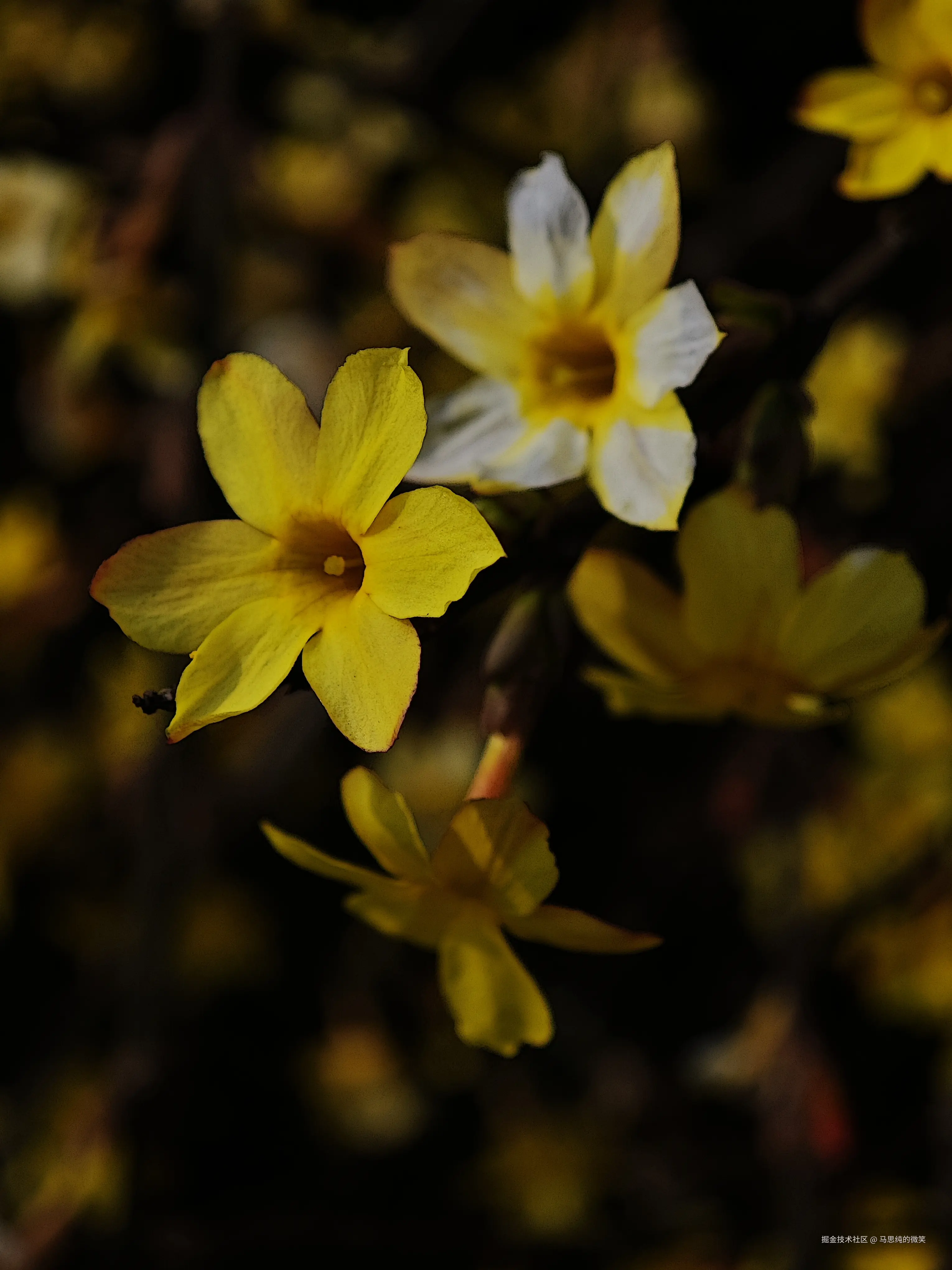 马思纯的微笑于2025-03-13 13:33发布的图片