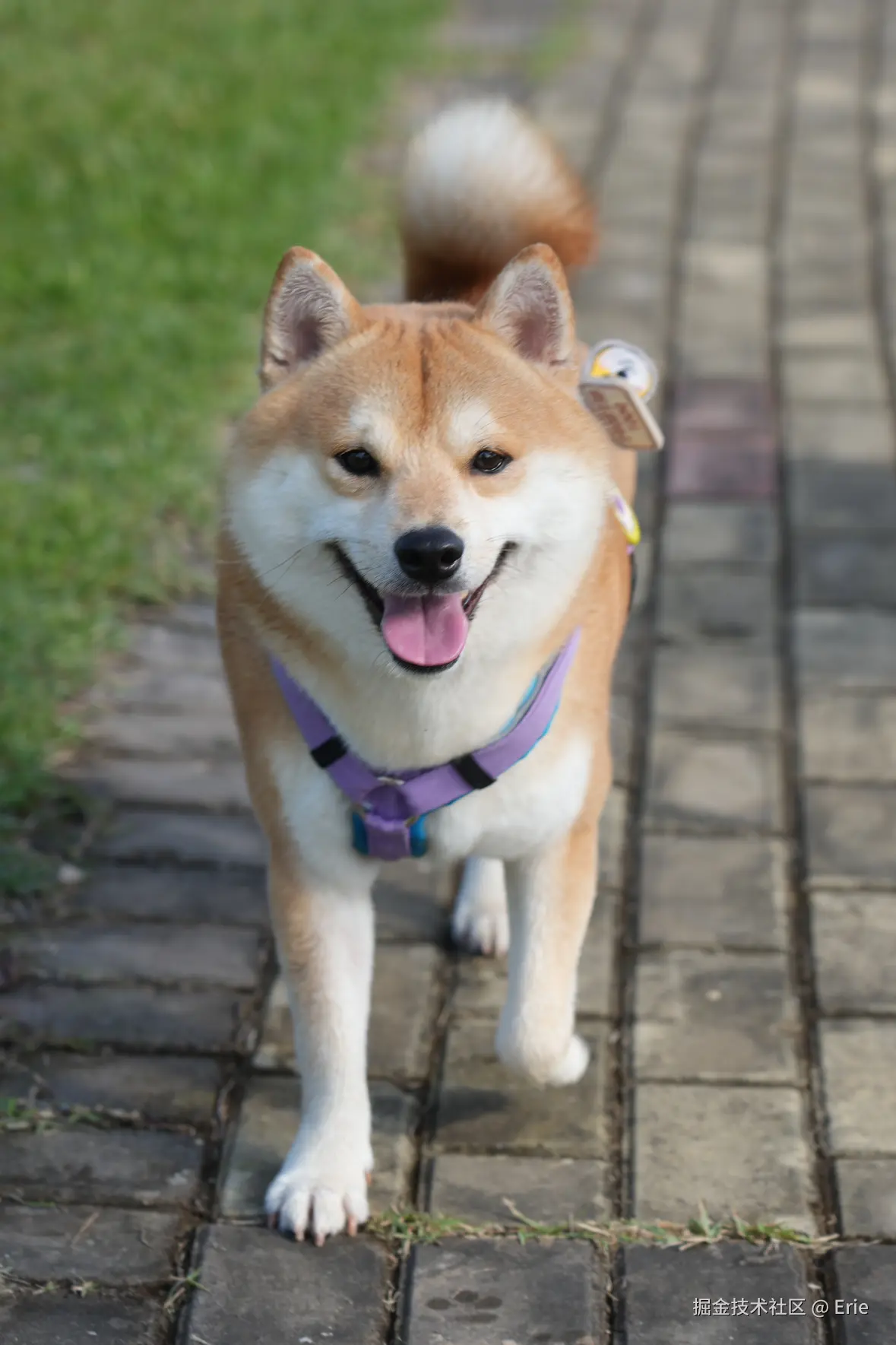 Erie于2025-11-18 00:30发布的图片