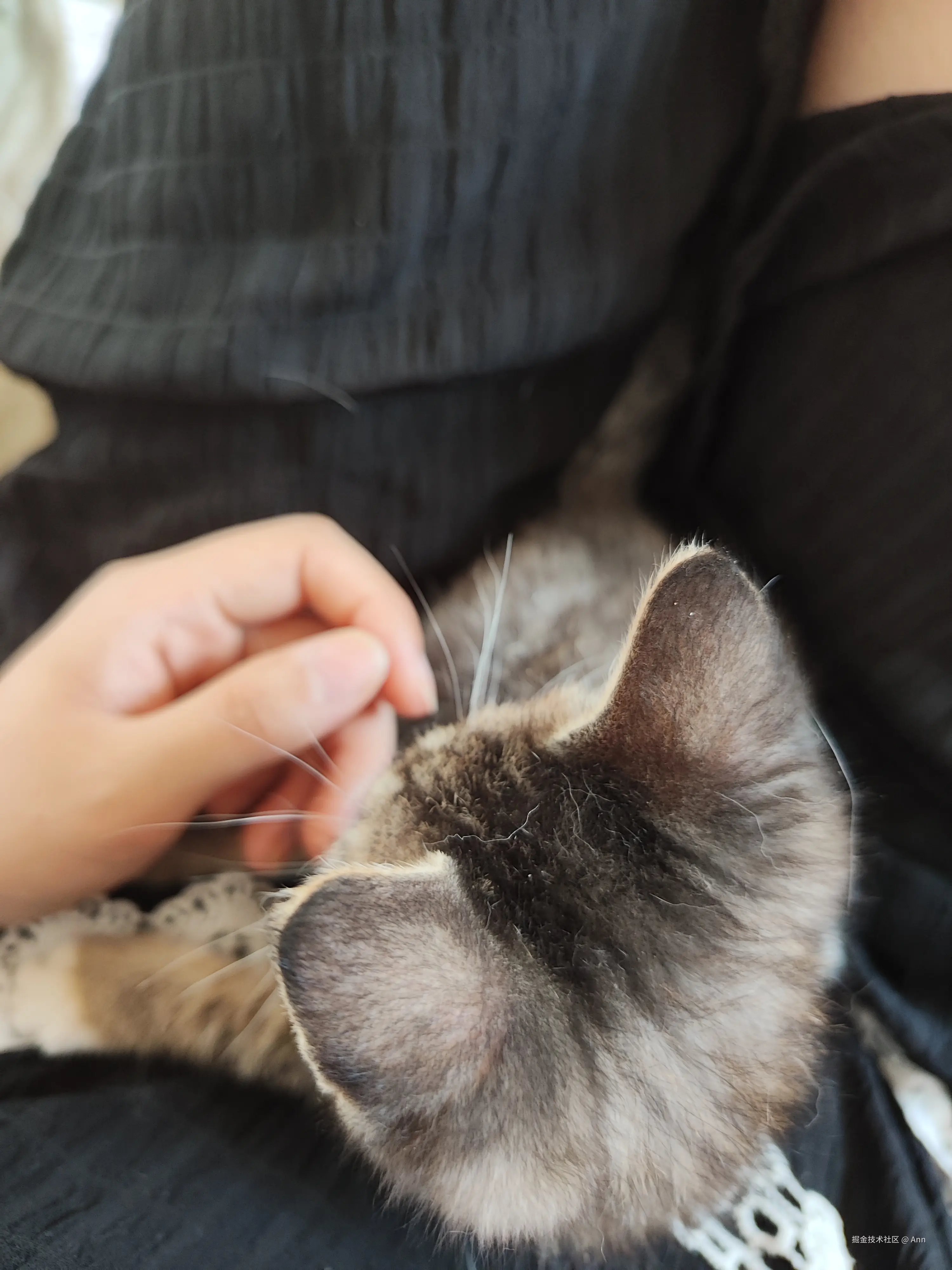 Ann于2024-08-23 11:22发布的图片