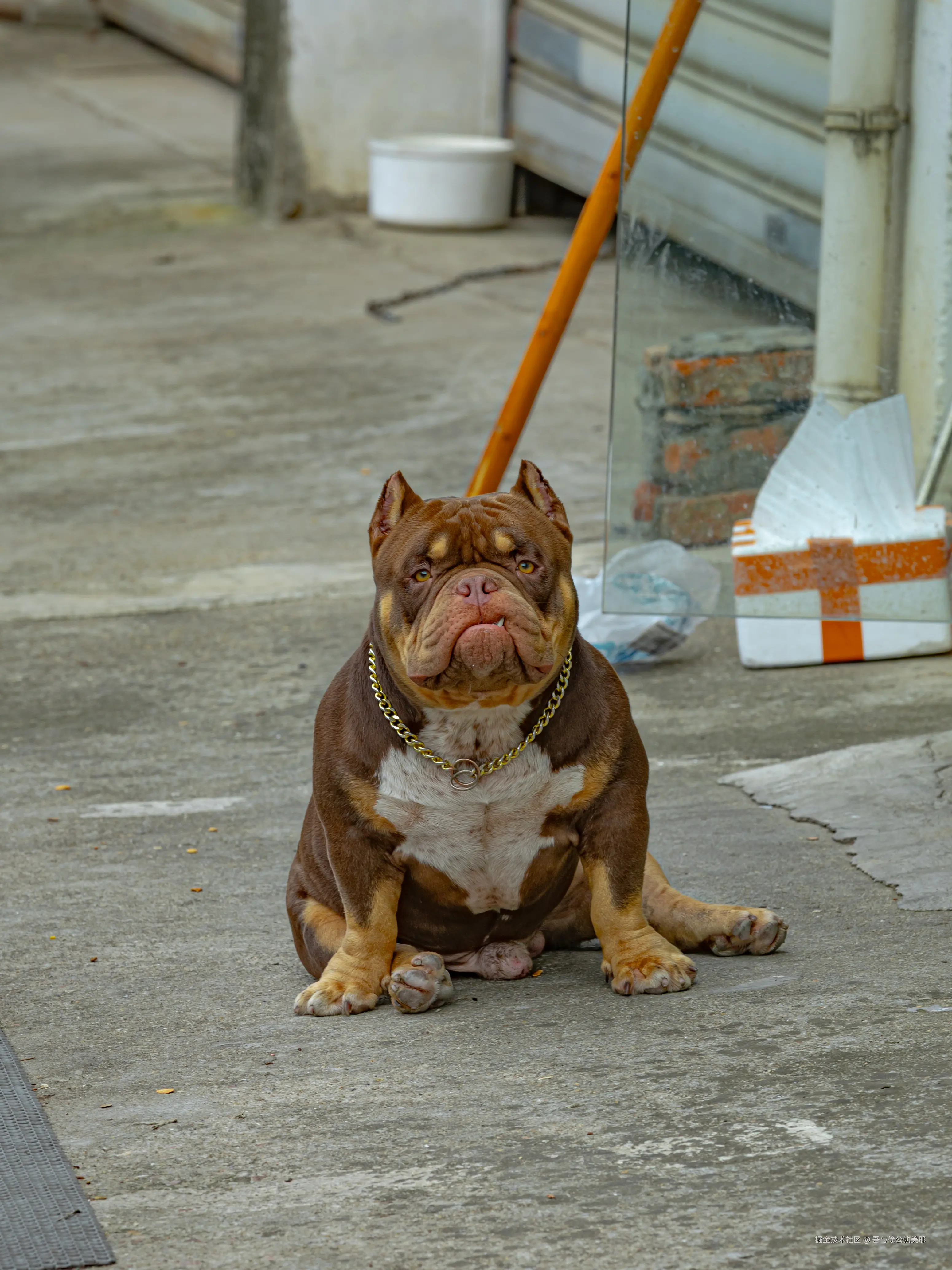 吾与徐公孰美耶于2025-09-26 10:12发布的图片