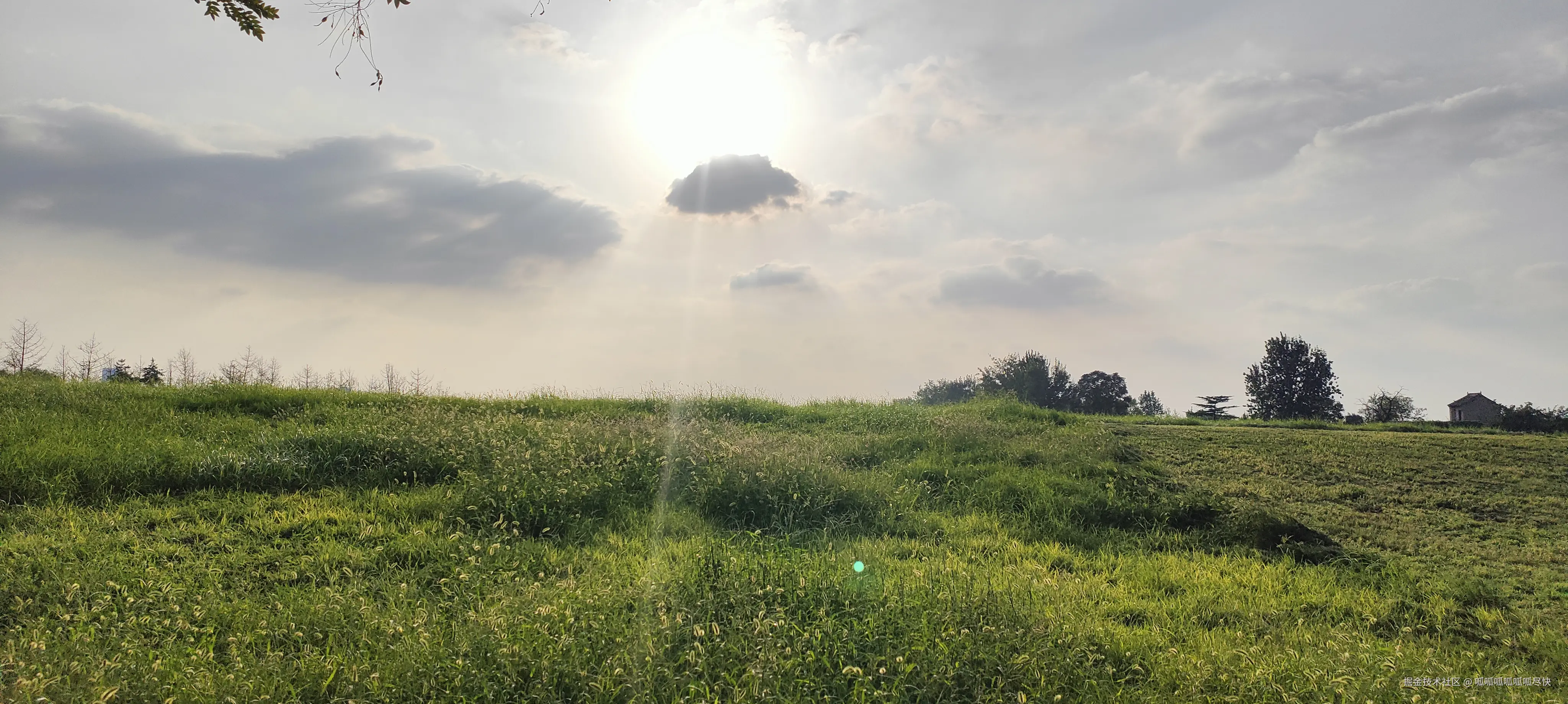 呱呱呱呱呱呱尽快于2025-09-13 19:12发布的图片