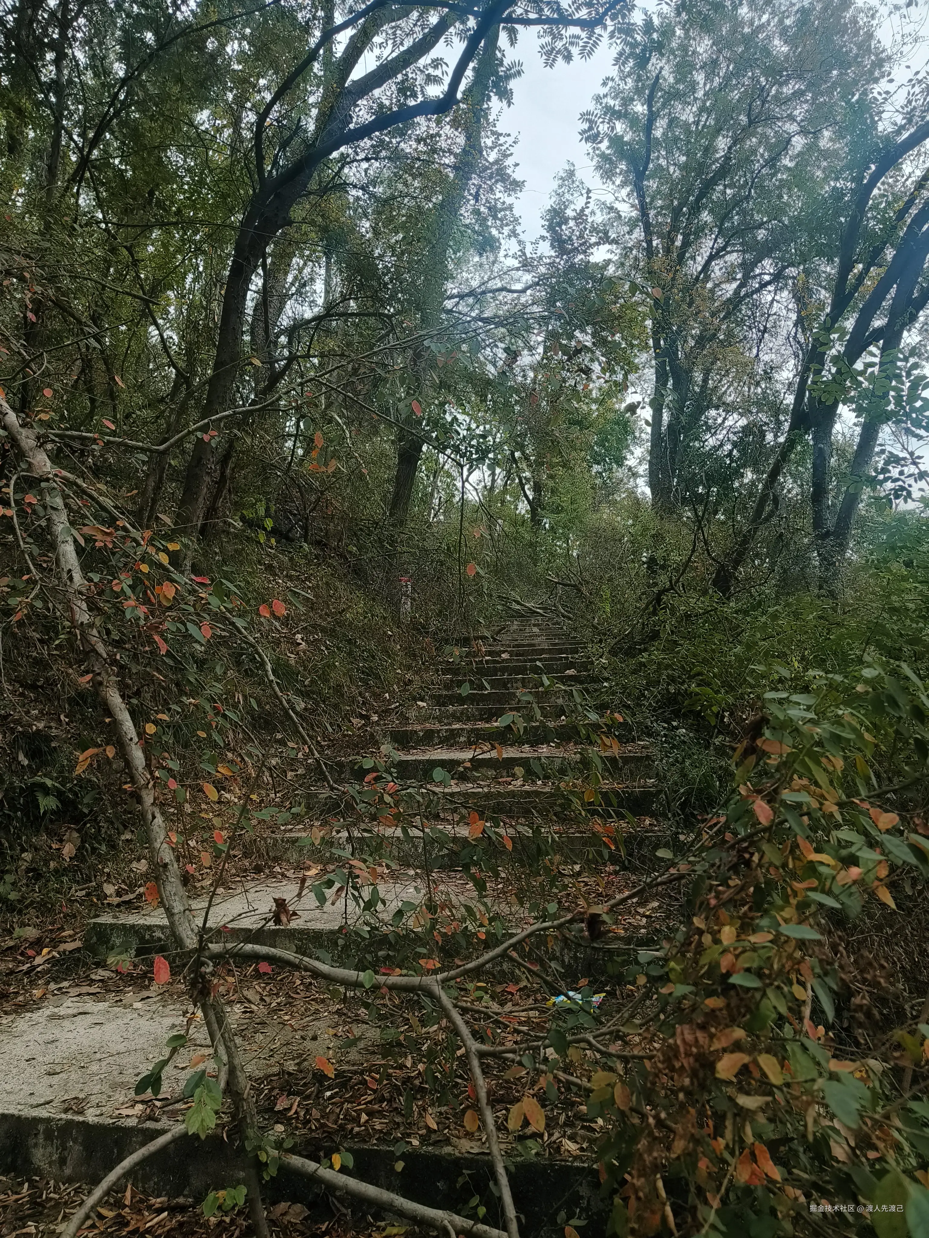 渡人先渡己于2024-11-11 11:10发布的图片