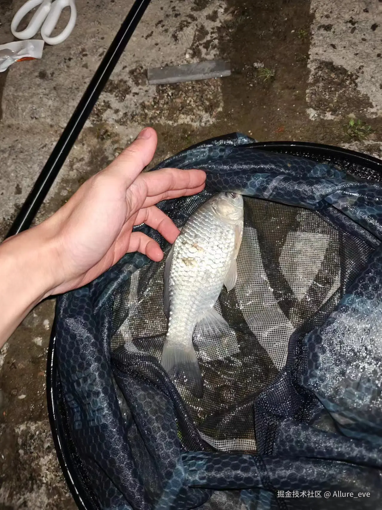 Allure_eve于2024-12-02 09:41发布的图片