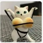 梦想是回家养猪于2025-09-12 10:21发布的图片