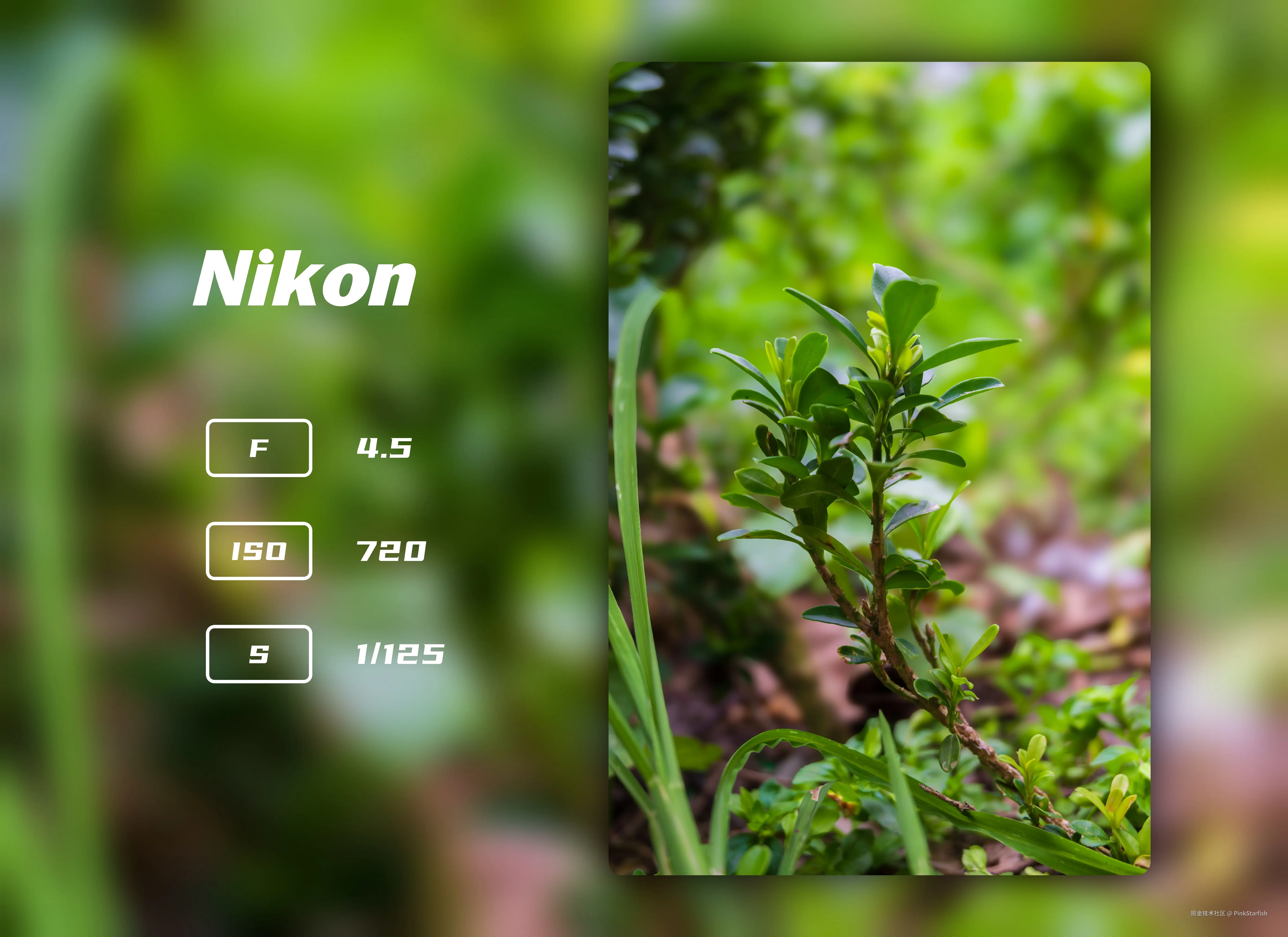 PinkStarfish于2025-05-29 00:57发布的图片