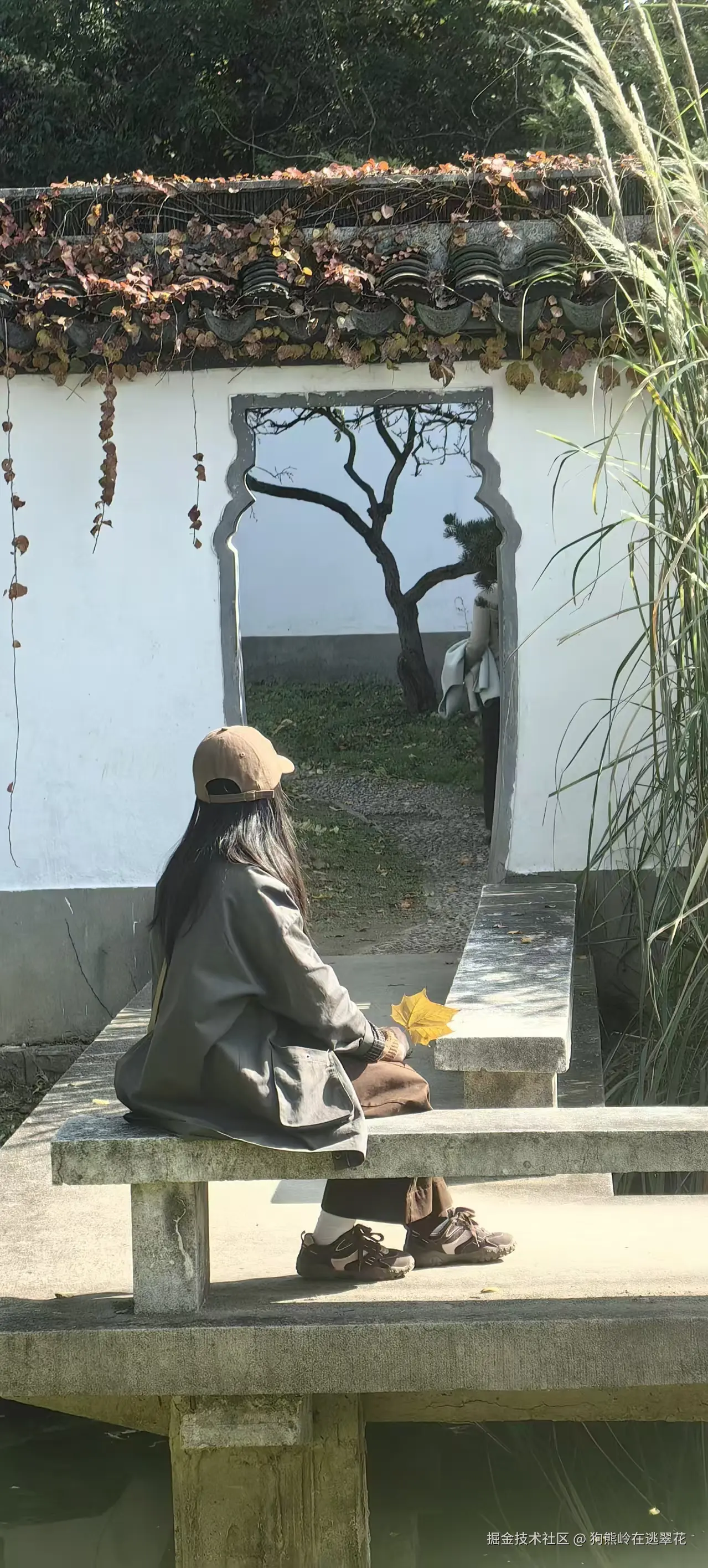 狗熊岭在逃翠花于2025-11-17 11:08发布的图片