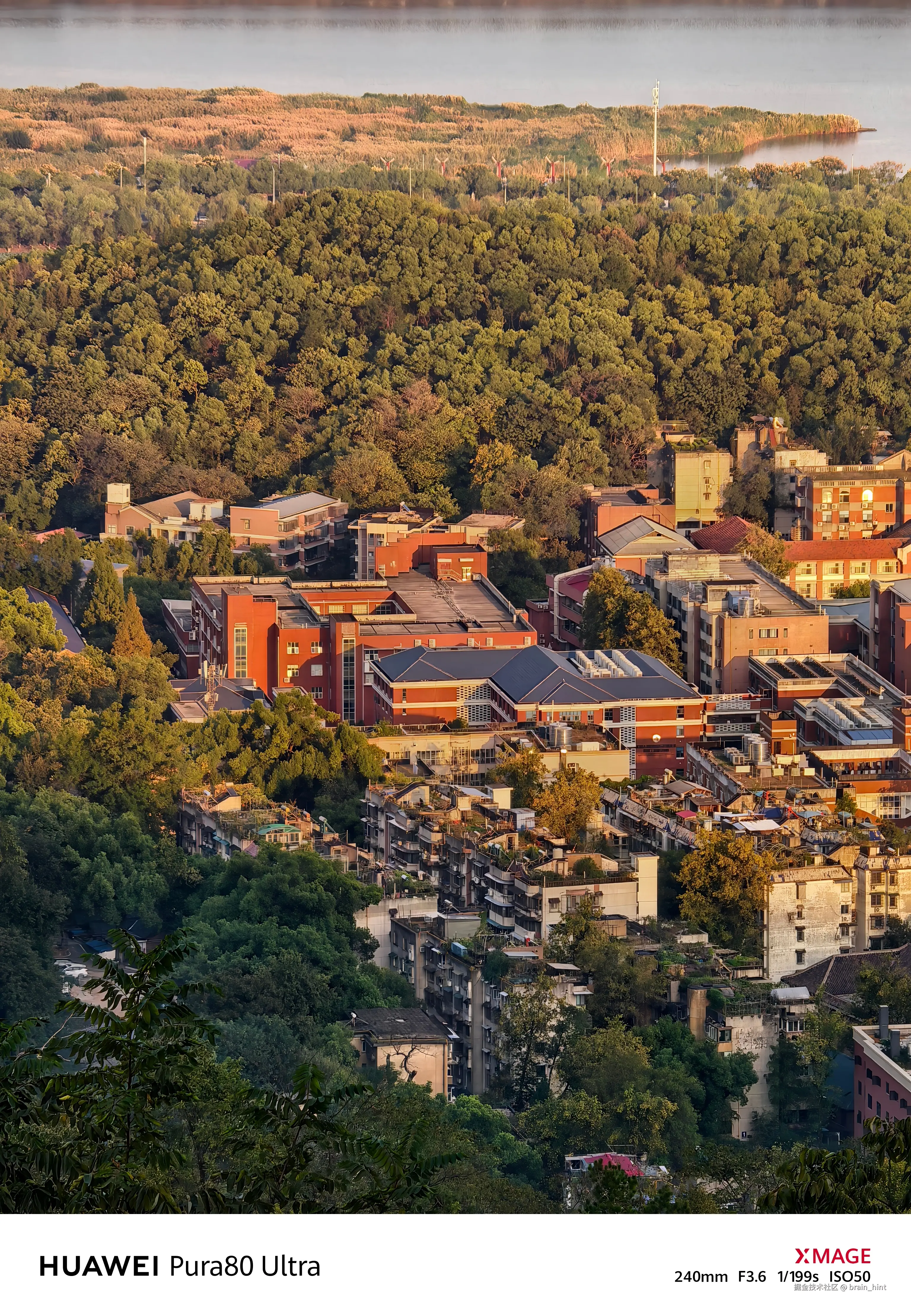 brain_hint于2025-10-17 10:49发布的图片