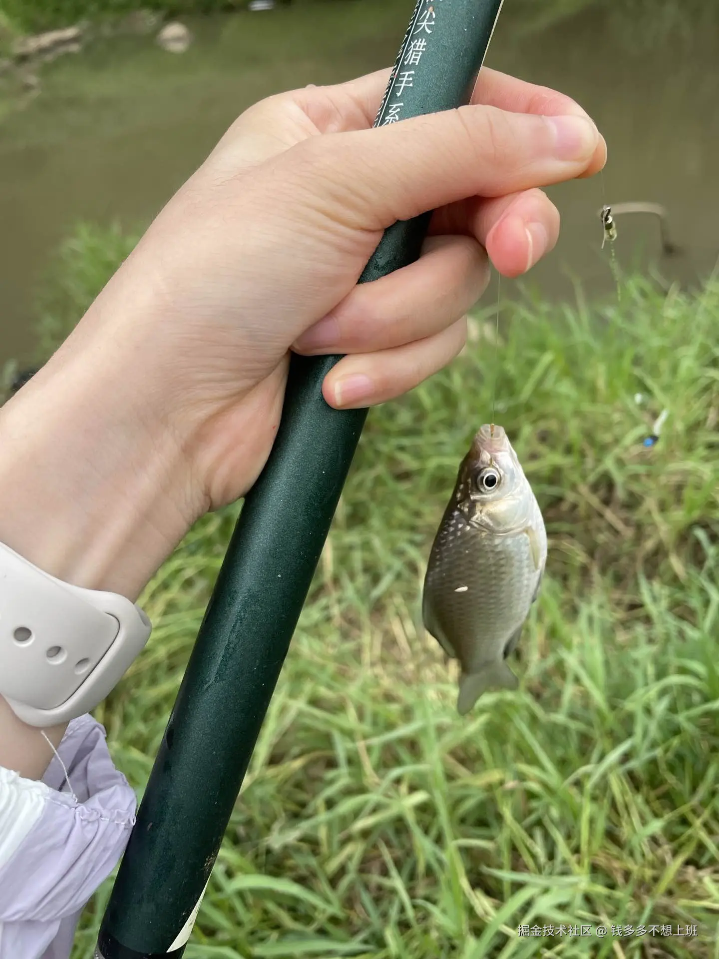 钱多多不想上班于2024-09-18 15:04发布的图片